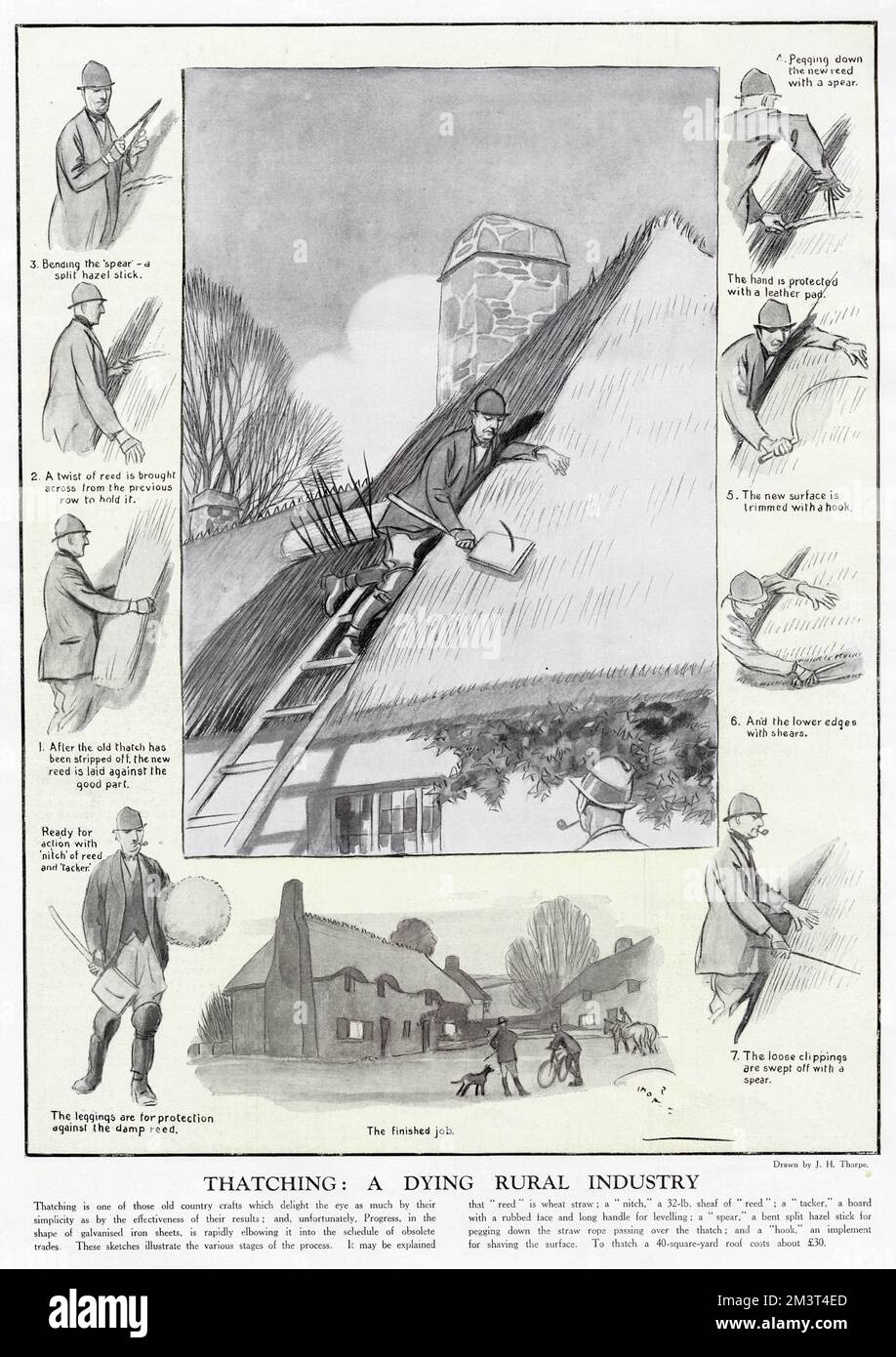 Illustration by James Thorpe in The Graphic demonstrating the techniques used by a thatcher. Thatching, remarks the magazine, is a dying rural industry, even by the 1920s. Stock Photo