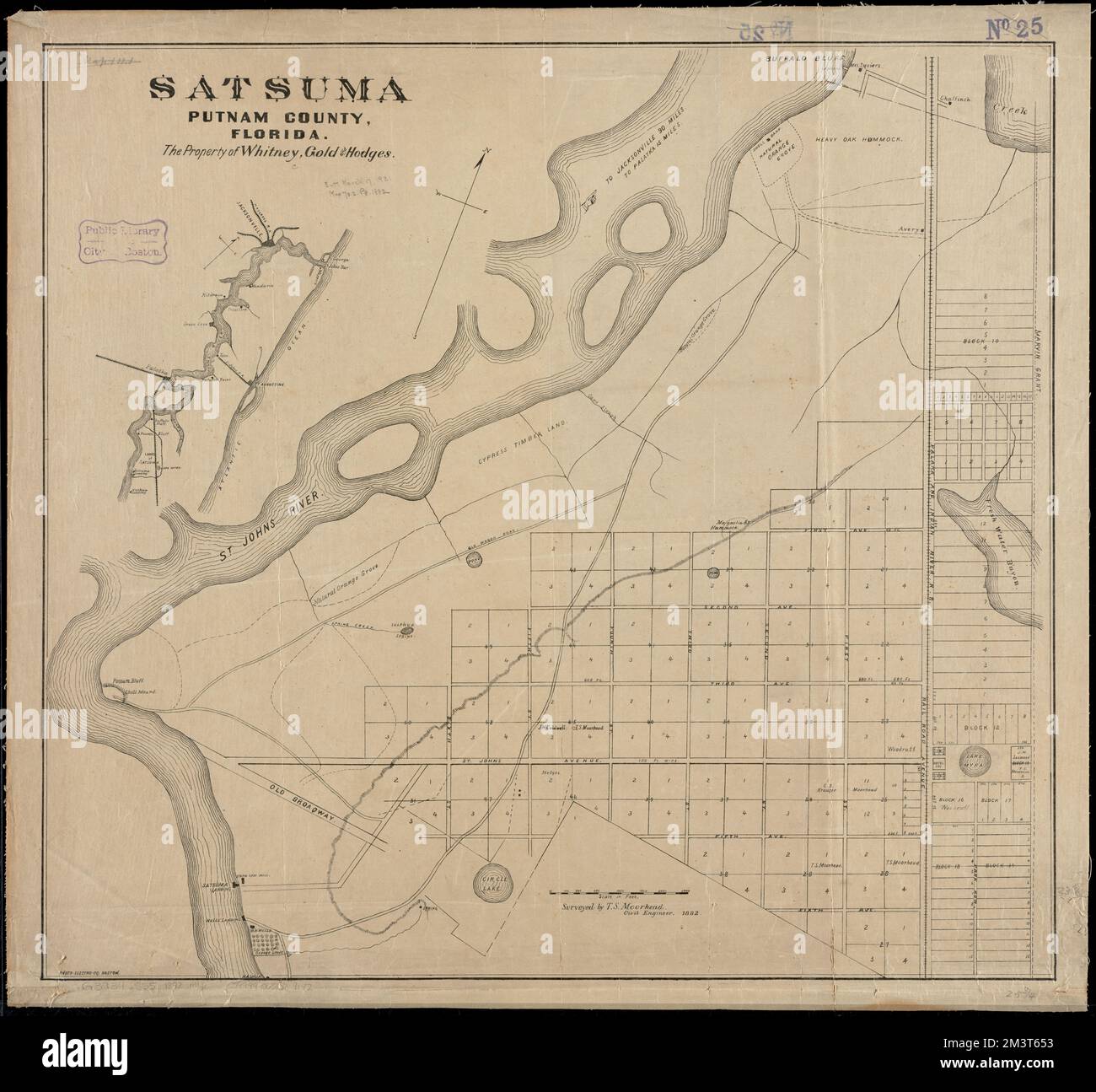 Satsuma, Putnam County, Florida : the property of Whitney, Gold and 
