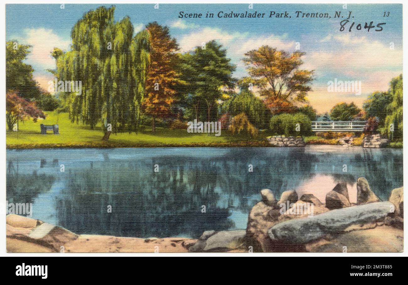 Scene in Cadwalader Park, Trenton, N. J. , Parks, Lakes & ponds, Bridges, Tichnor Brothers