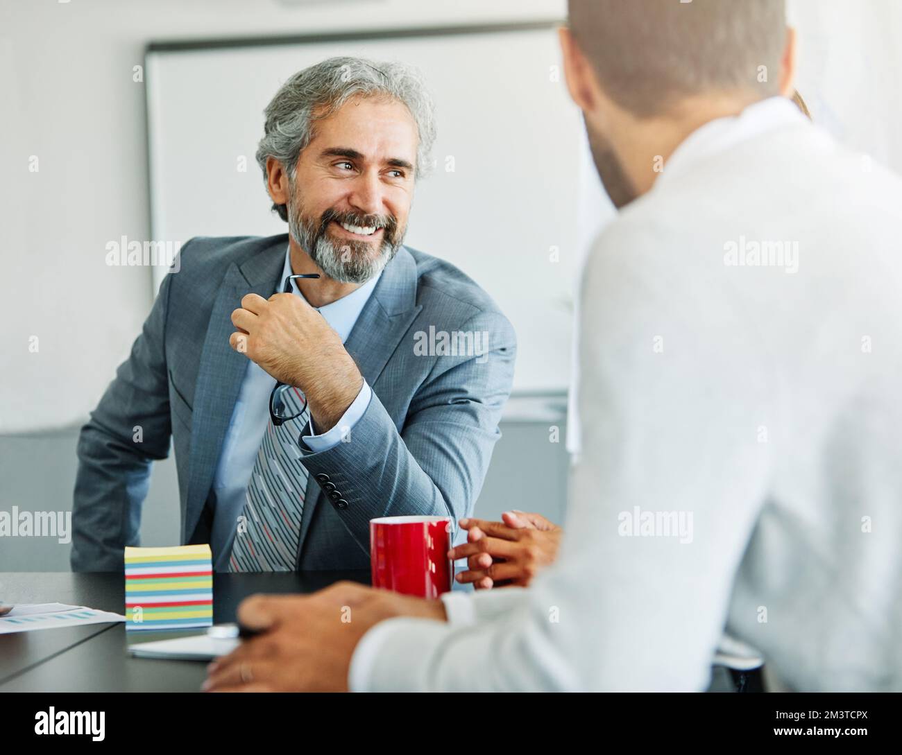 senior businessman office work business meeting mature gray hair portrait happy lawyer entrepreneur Stock Photo