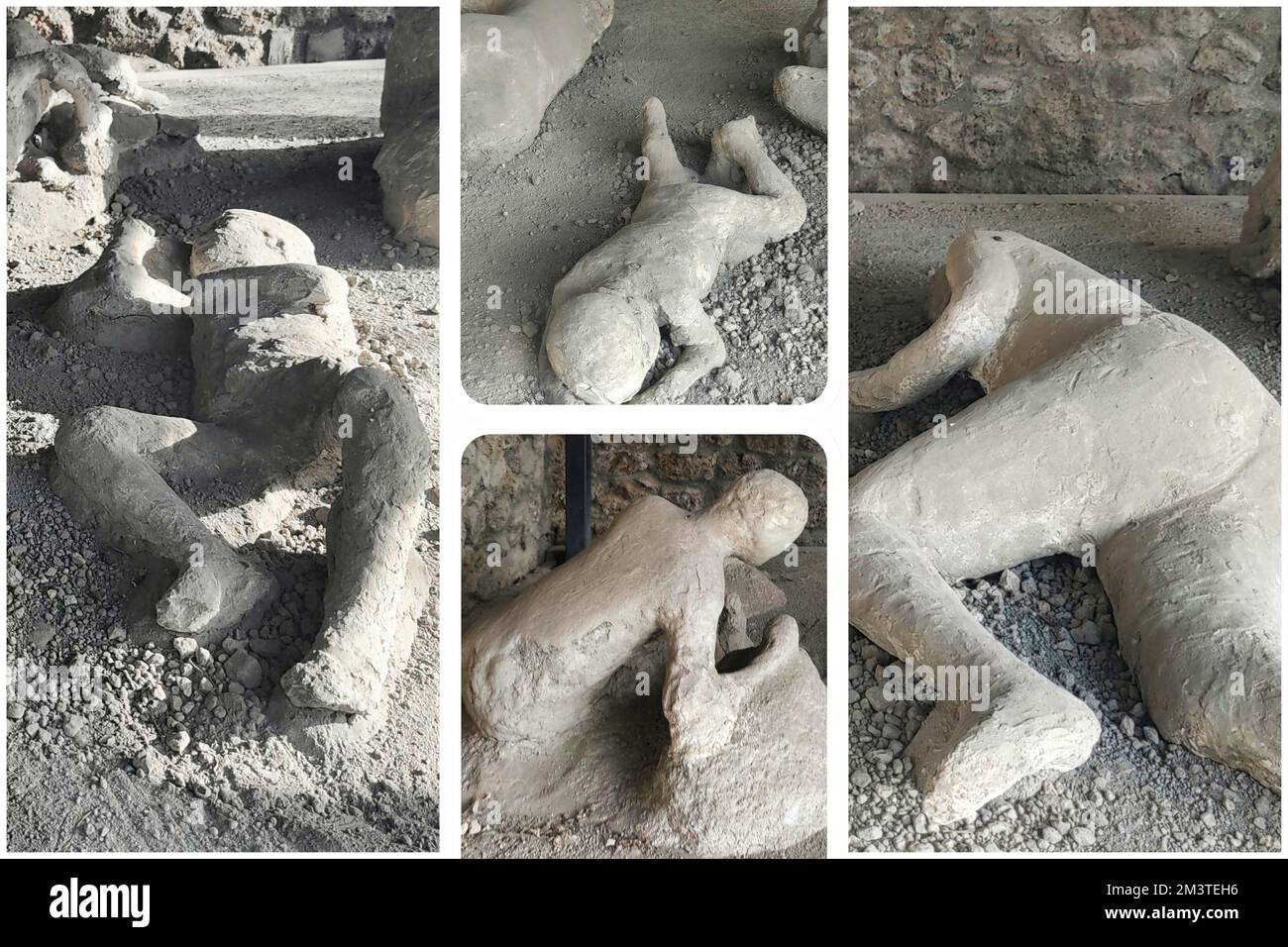 Pompeii the garden of the fugitives Inside which 13 victims,adults and children were found,caught by death while trying to escape the fury of Vesuvius Stock Photo