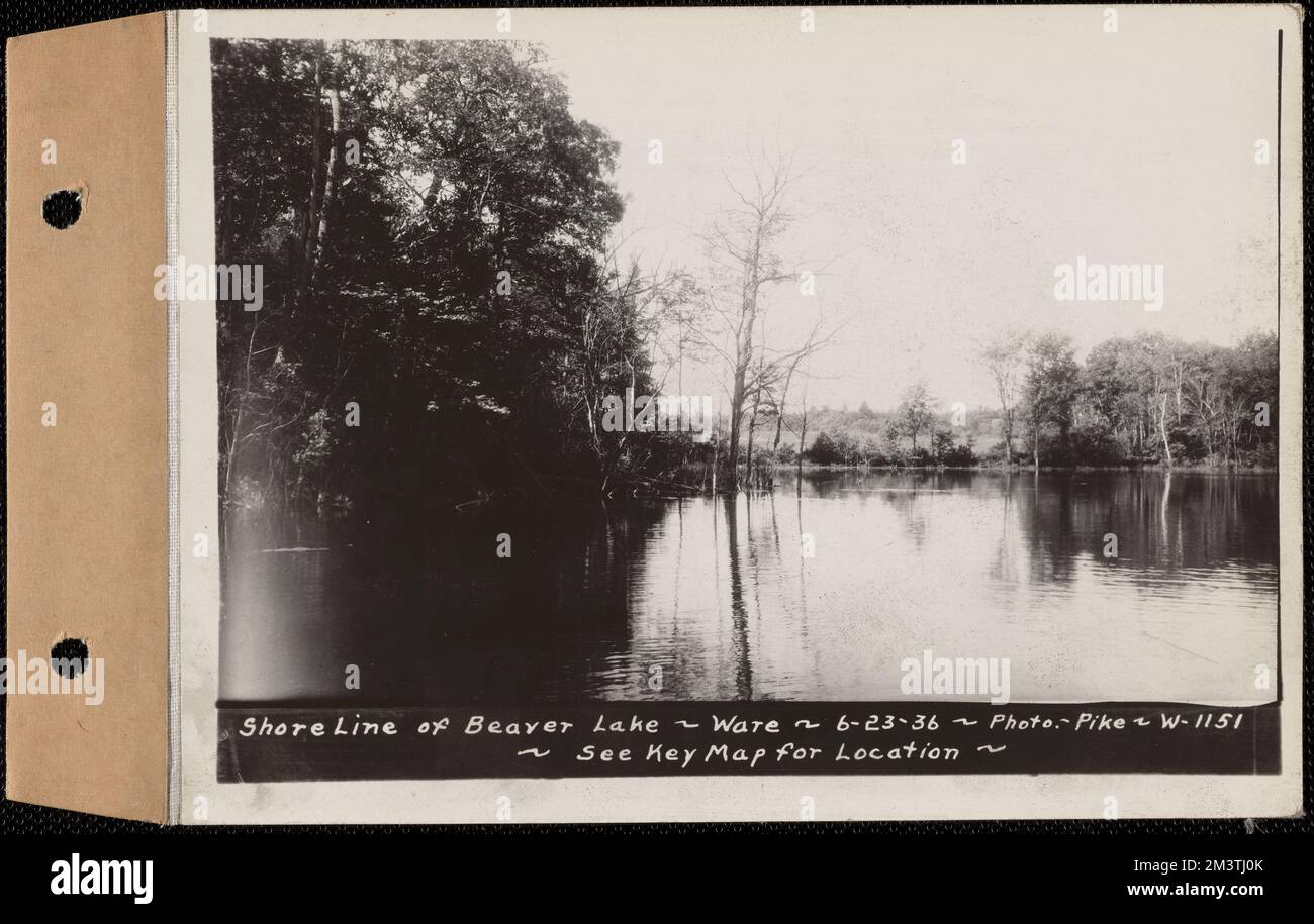 Shore line of Beaver Lake, Ware, Mass., Jun. 23, 1936 , waterworks