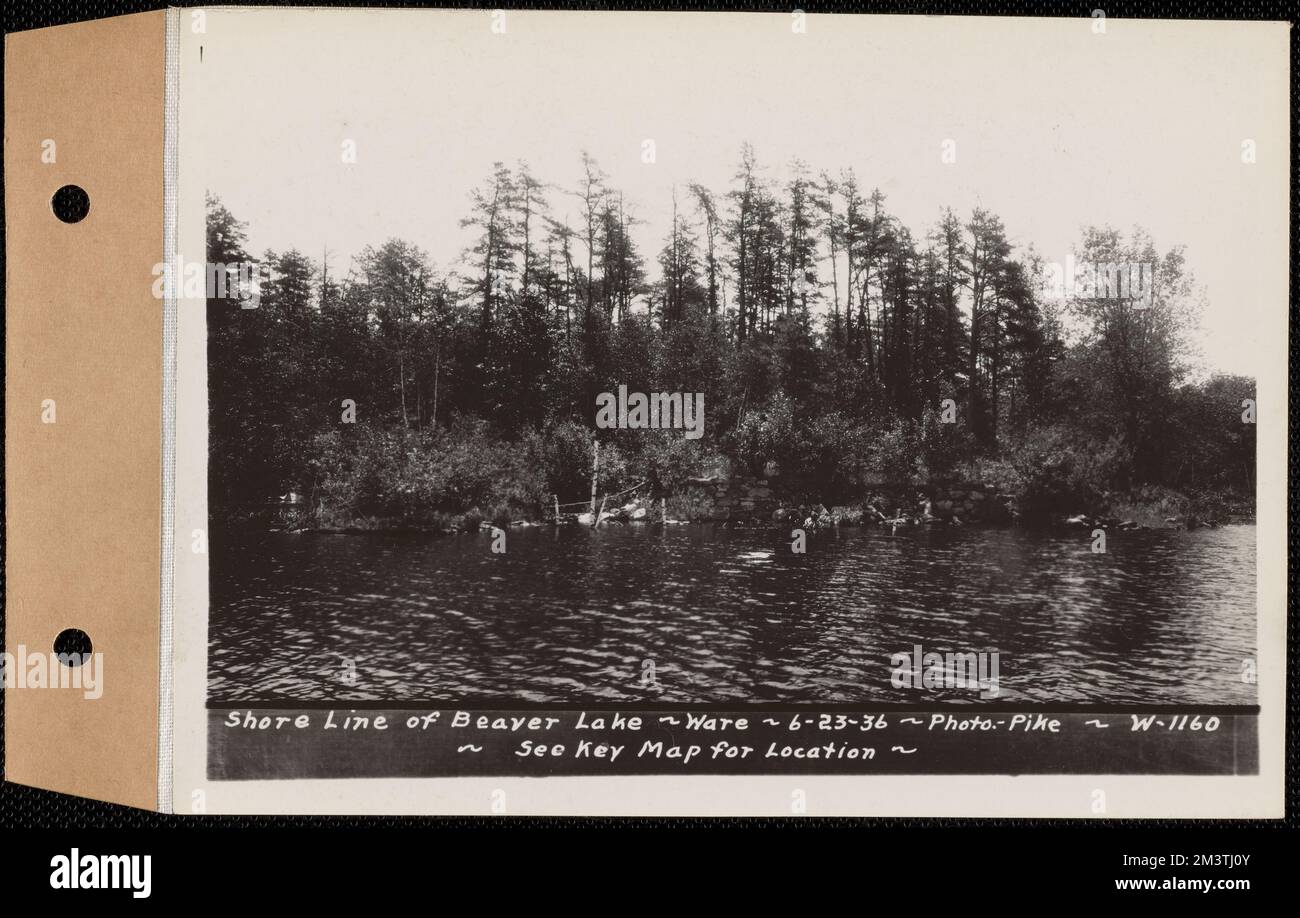 Shore line of Beaver Lake, Ware, Mass., Jun. 23, 1936 , waterworks