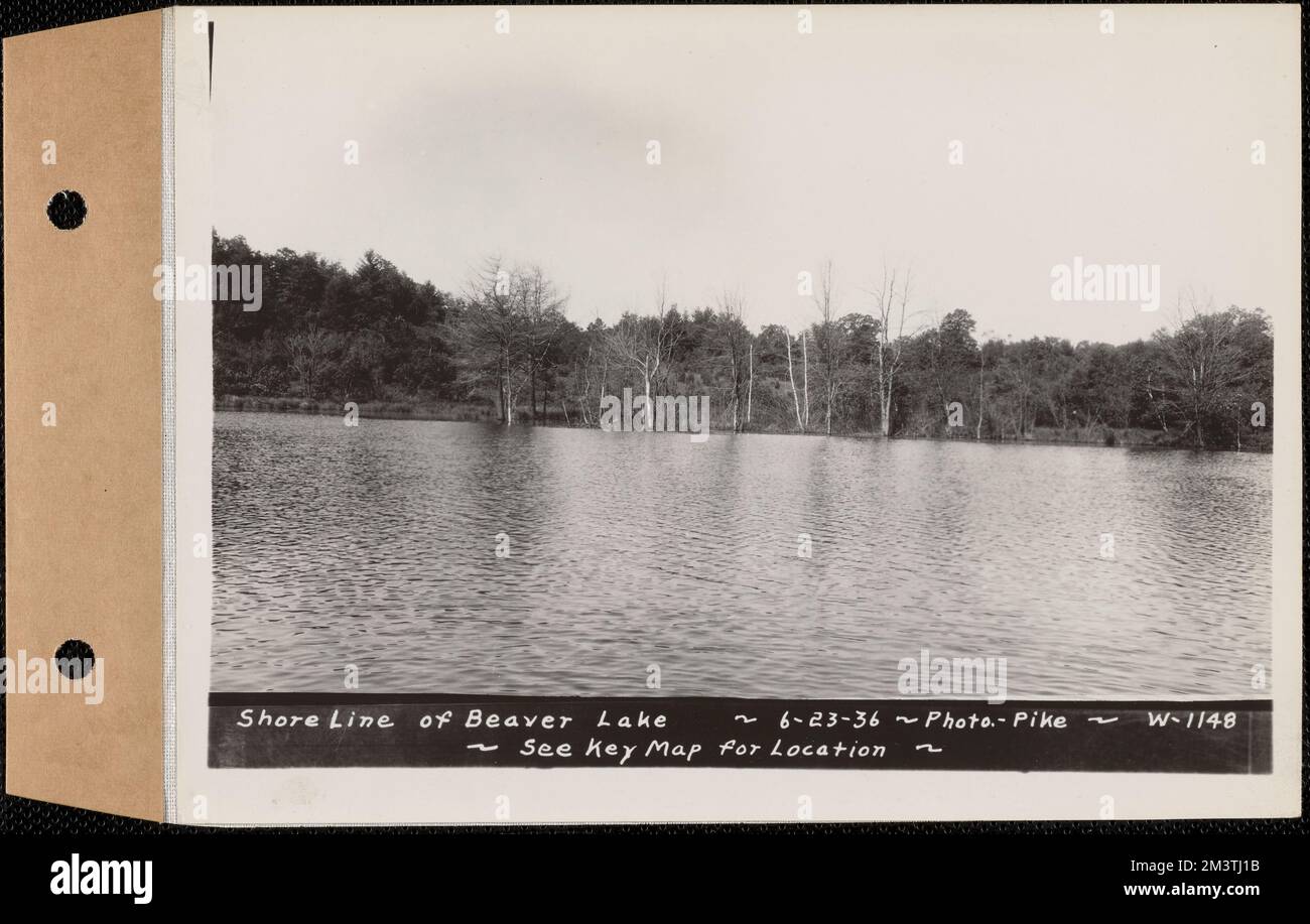 Shore line of Beaver Lake, Ware, Mass., Jun. 23, 1936 , waterworks