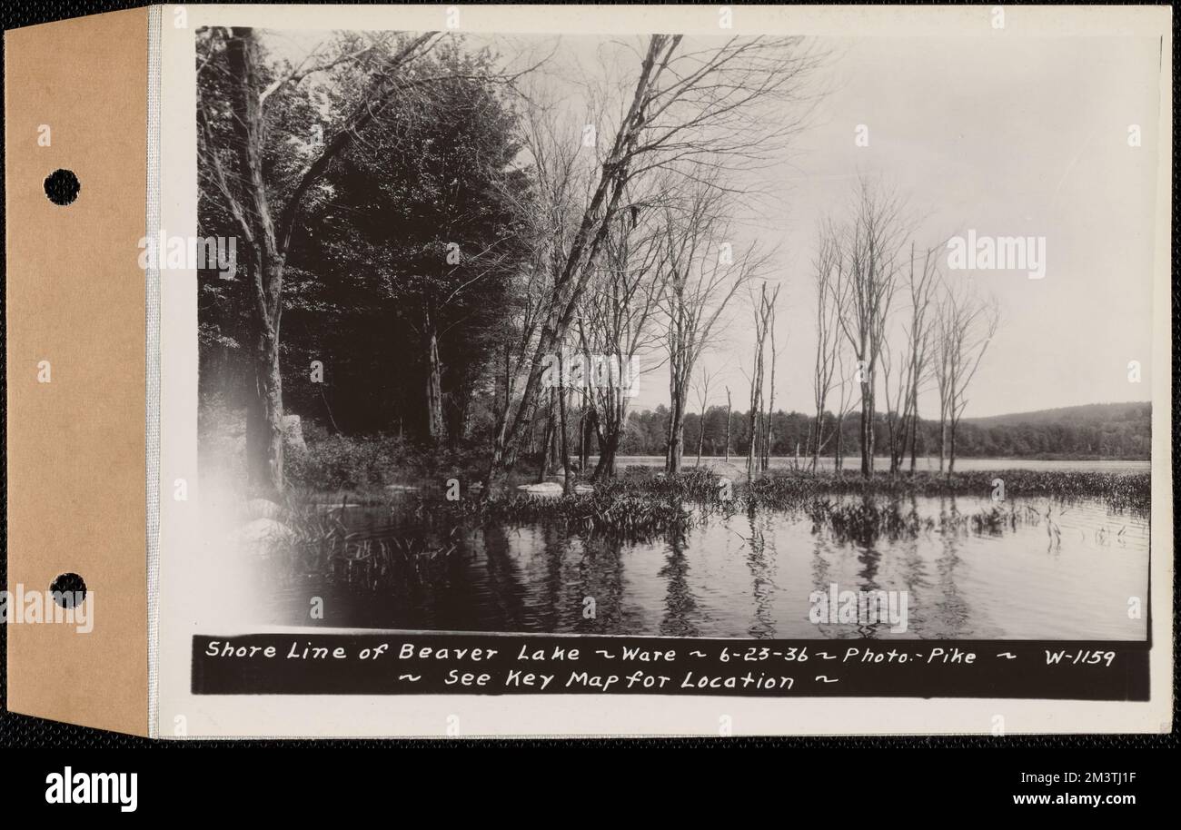 Shore line of Beaver Lake, Ware, Mass., Jun. 23, 1936 , waterworks