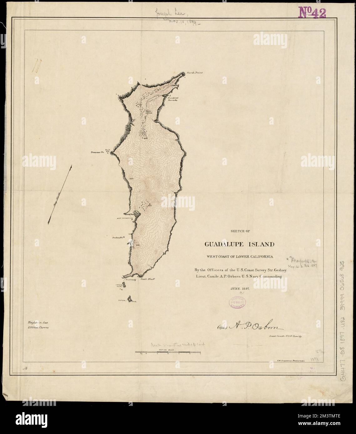 Sketch of Guadalupe Island west coast of Lower California , Guadalupe