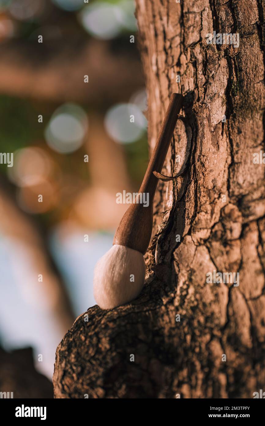 A shallow focus shot of wooden brush leaning on a tree trunk Stock Photo