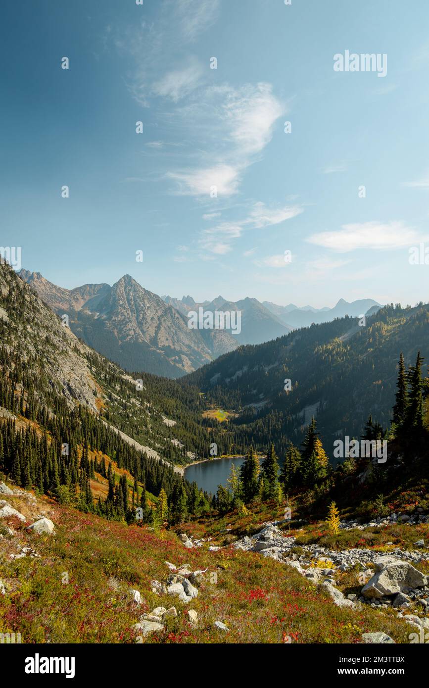 Vertical wide Photo of lush high mountain altitude massive conifer trees off trail with alpine lake below in the North Cascades National Park in North Stock Photo