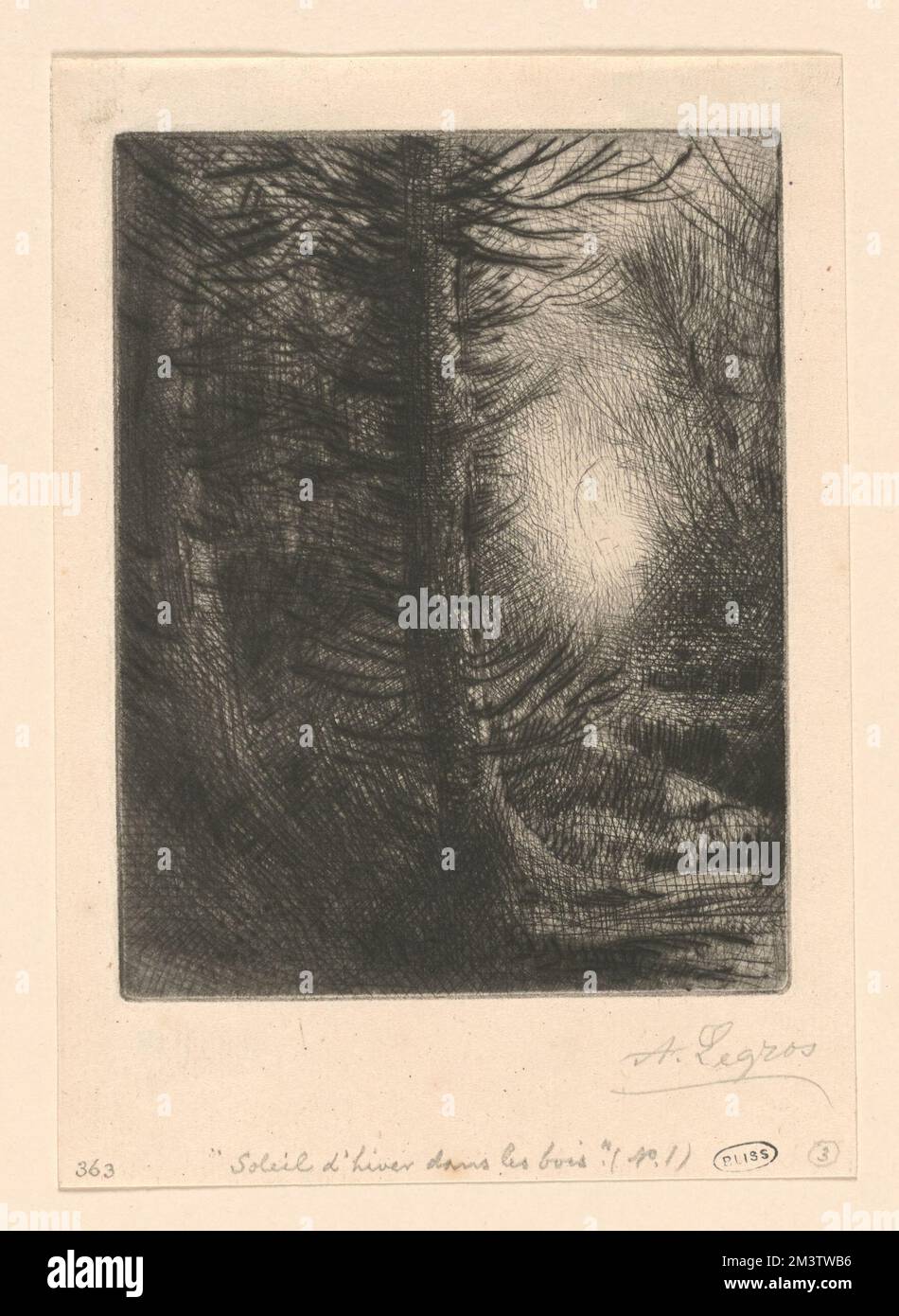 Soleil d'hiver dans le bois (1st plate) , Forests, Alphonse Legros (1837-1911) Stock Photo