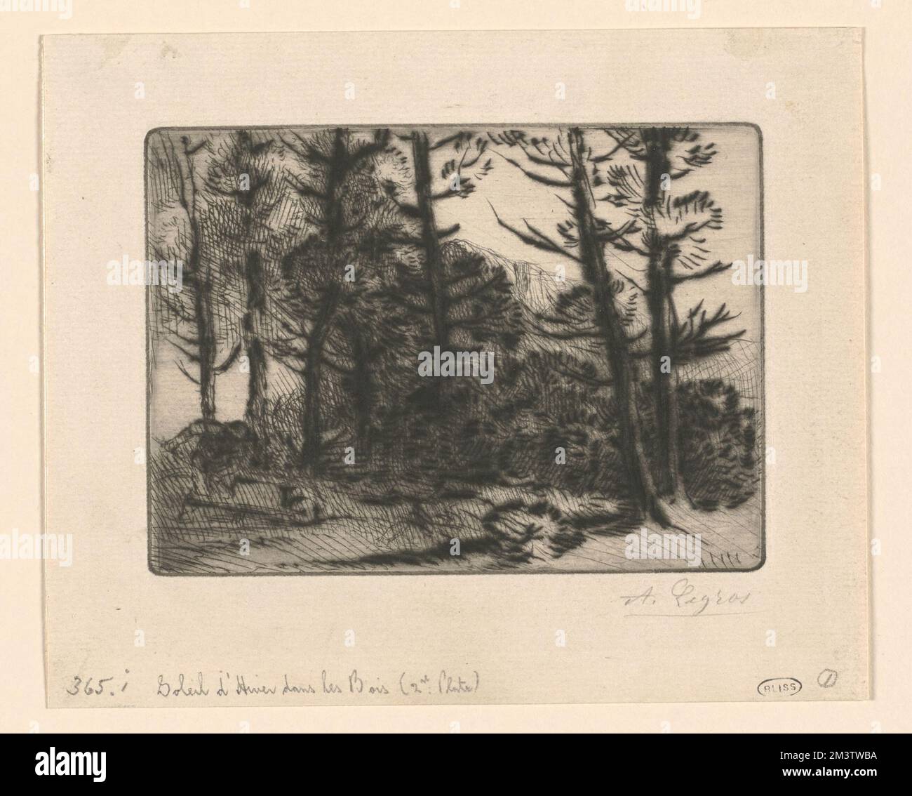 Soleil d'hiver dans les bois (2nd plate) , Forests, Alphonse Legros (1837-1911) Stock Photo
