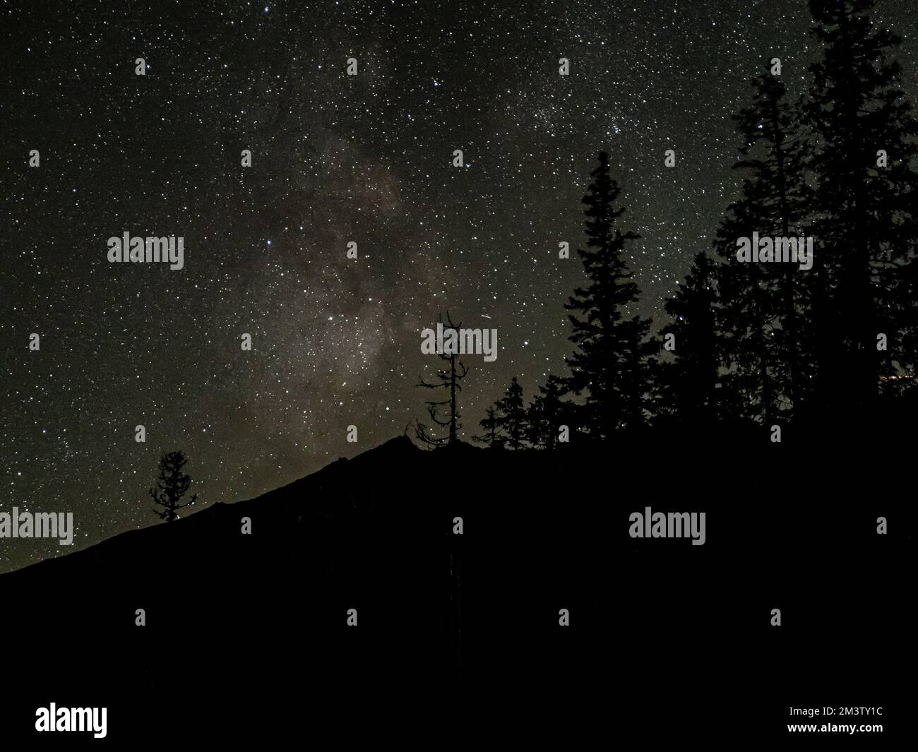 Milky way above pine tree silhouettes in the Tatra mountains Slovakia starry night sky Stock Photo