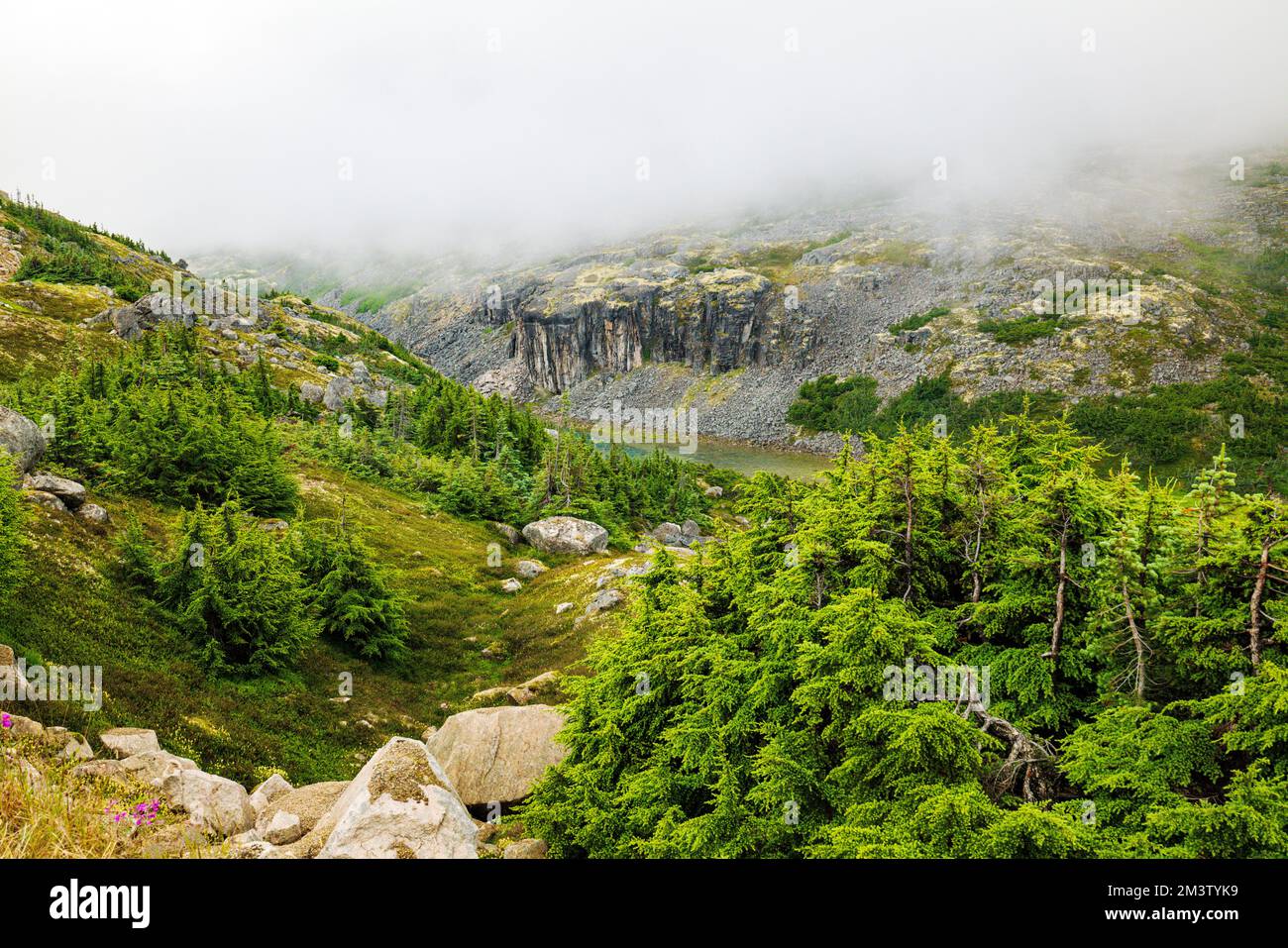 Foggy moody weather; along South Klondike Highway; British Columbia