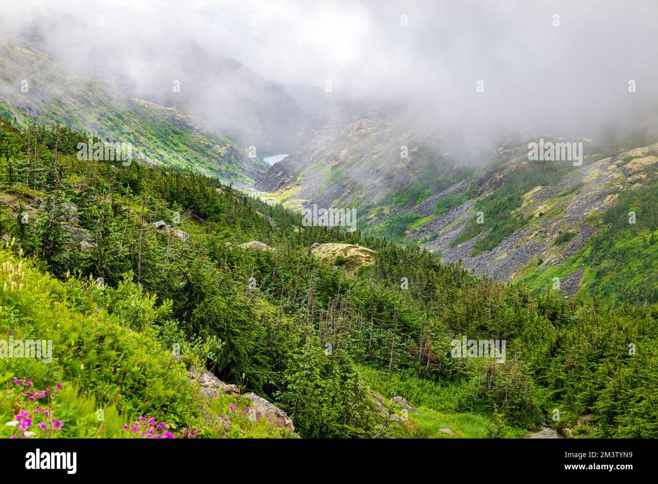 Foggy moody weather; along South Klondike Highway; British Columbia