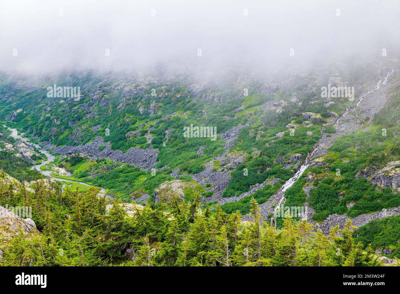 Foggy moody weather; along South Klondike Highway; British Columbia