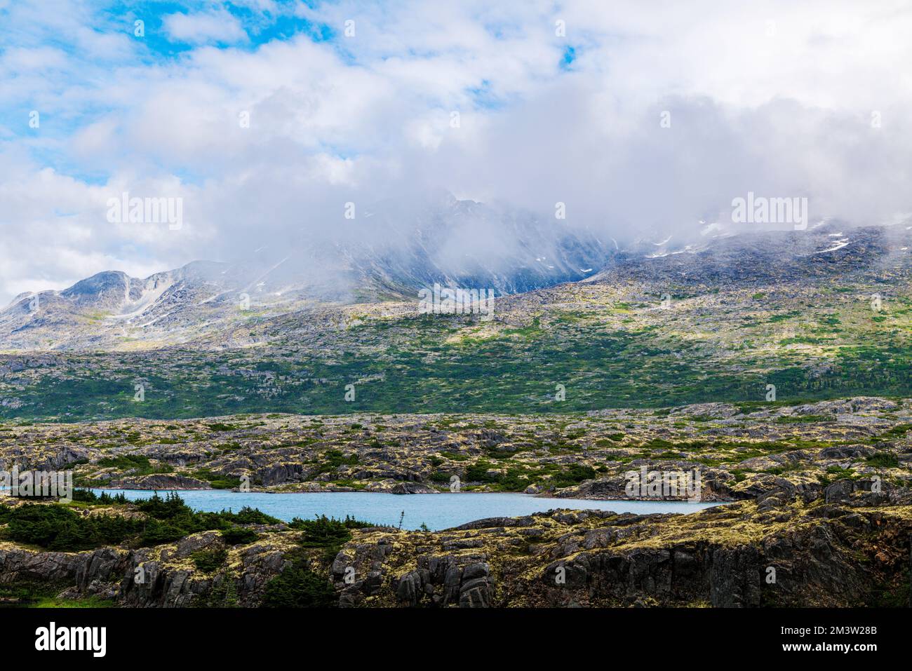 Foggy moody weather; along South Klondike Highway; British Columbia