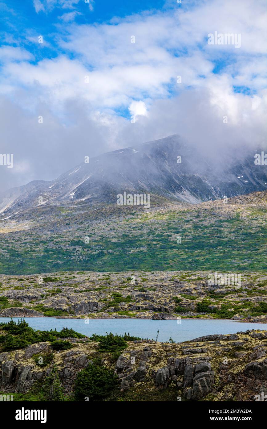 Foggy moody weather; along South Klondike Highway; British Columbia
