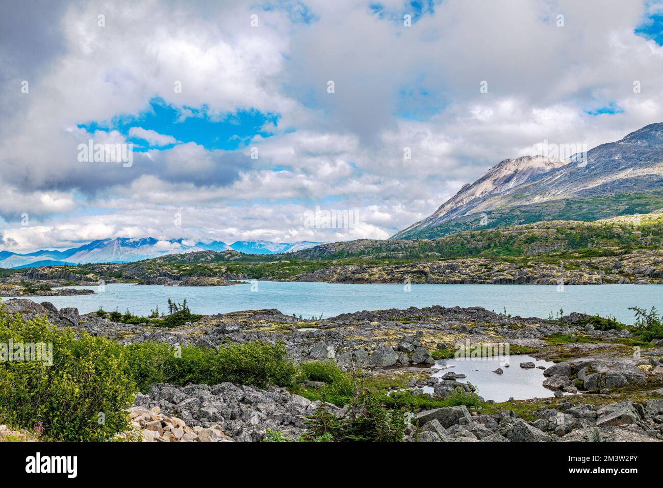 Foggy moody weather; along South Klondike Highway; British Columbia