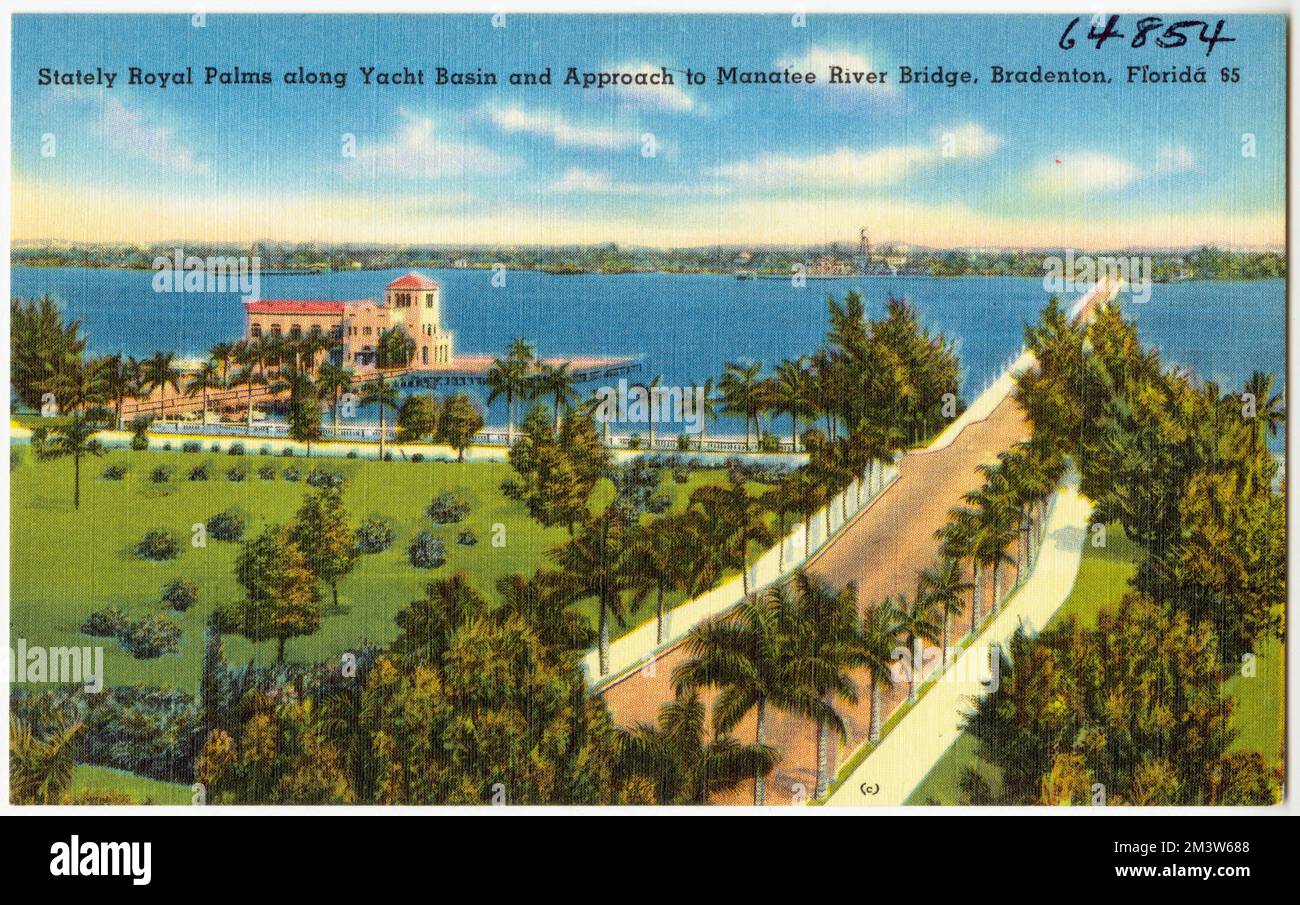 Stately royal palms along yacht basin and approach to Manatee River ...