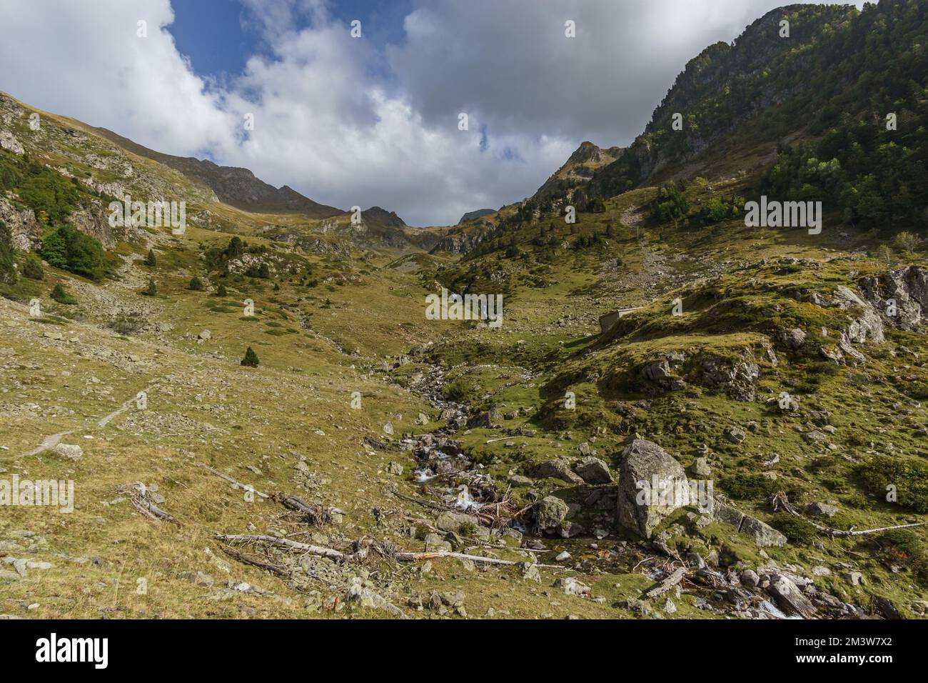 Steep meadow with small creek Ruisseau du Lurien in the pyrenees