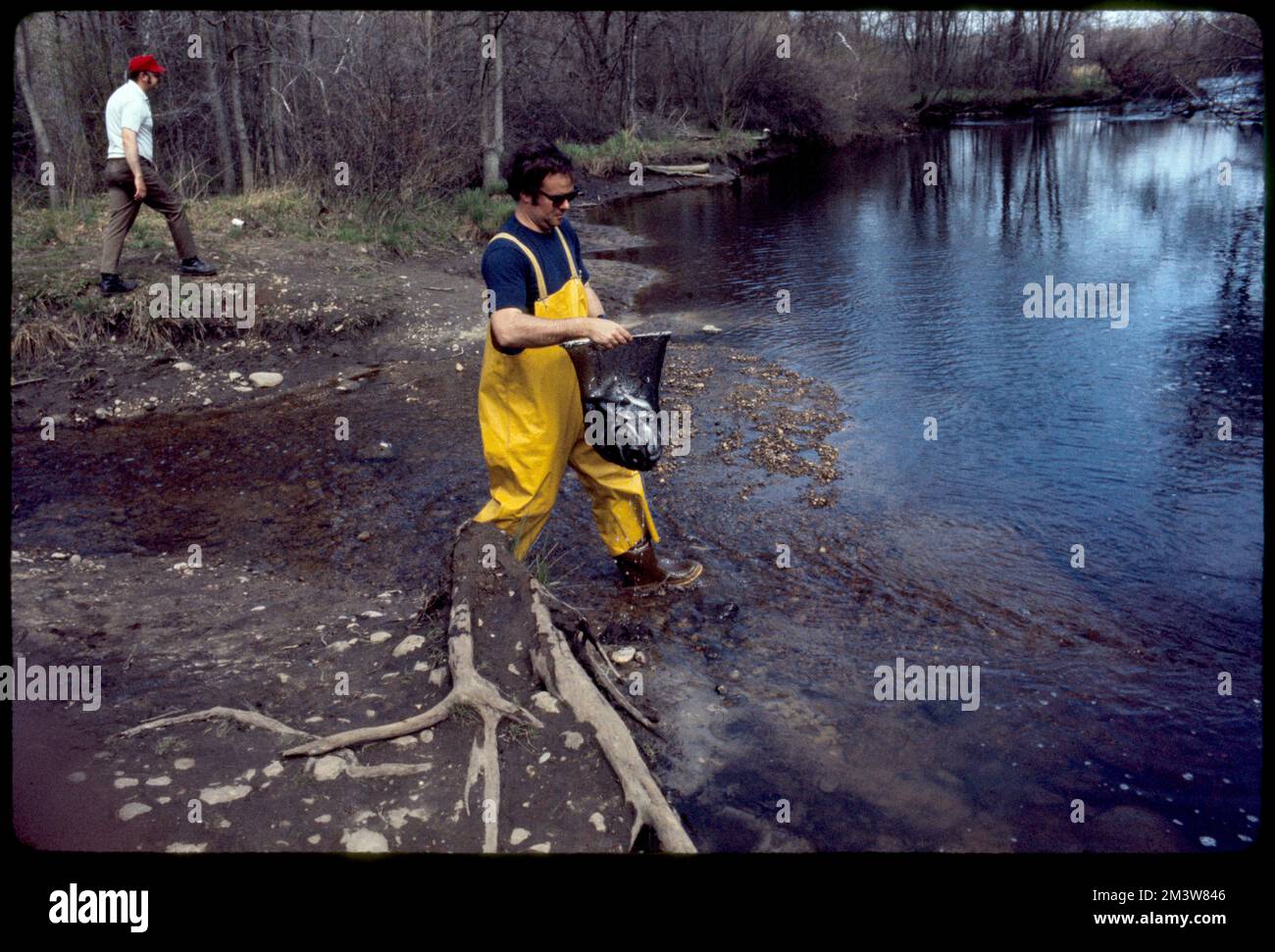 Stocking Pacific Coast 'Coho' Salmon , Rivers, Salmon, Fishing nets ...