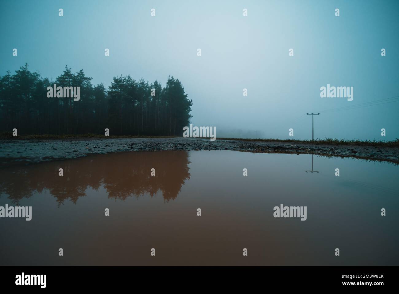Grass reflected in water hi-res stock photography and images - Alamy