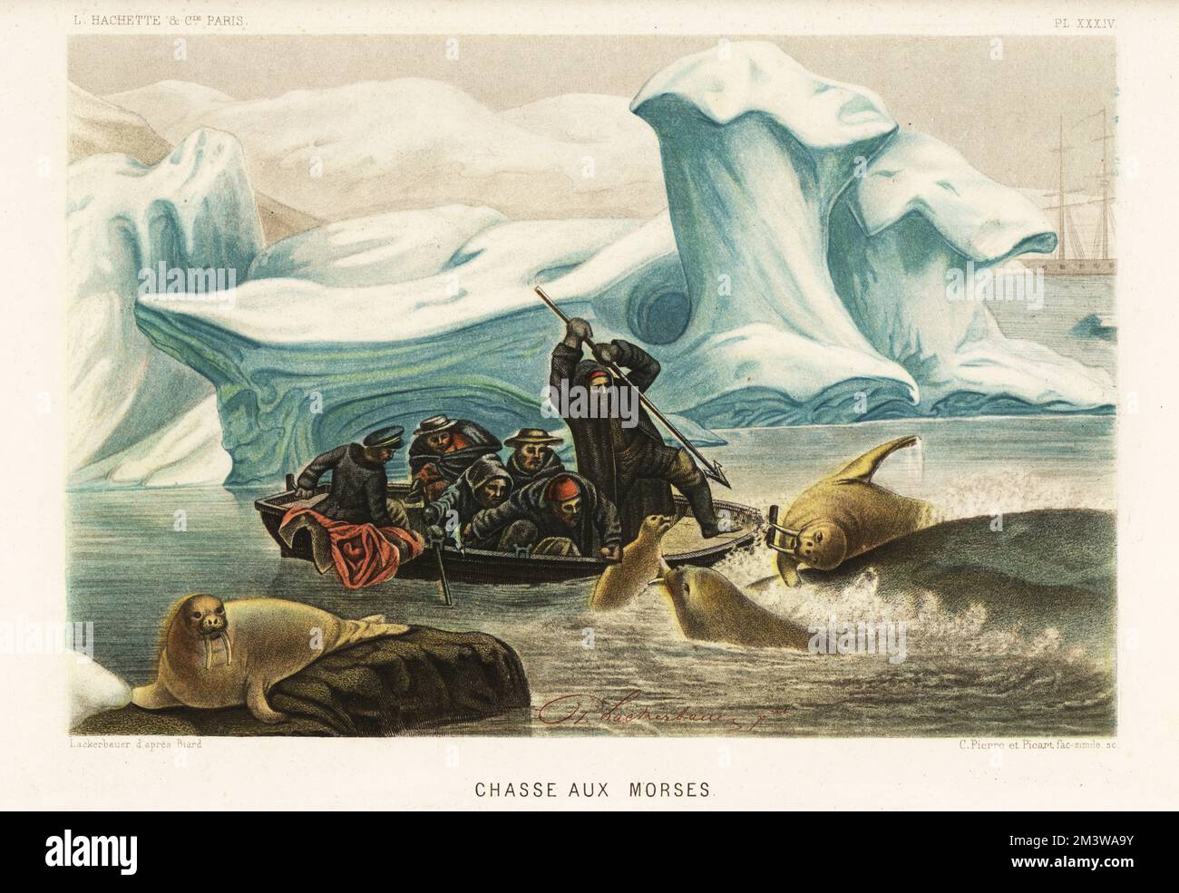 Hunting walrus, Odobenus rosmarus, in the Arctic ice floes. Whalers on a small boat hunting with harpoon. Chasses aux morses. Chromolithograph by C. Pierre and Bernard Picart Pierre Lackerbauer after landscape artist François-Auguste Biard from Alfred Fredol’s Le Monde de la Mer, the World of the Sea, edited by Olivier Fredol, Librairie Hachette et. Cie., Paris, 1881. Alfred Fredol was the pseudonym of French zoologist and botanist Alfred Moquin-Tandon, 1804-1863. Stock Photo
