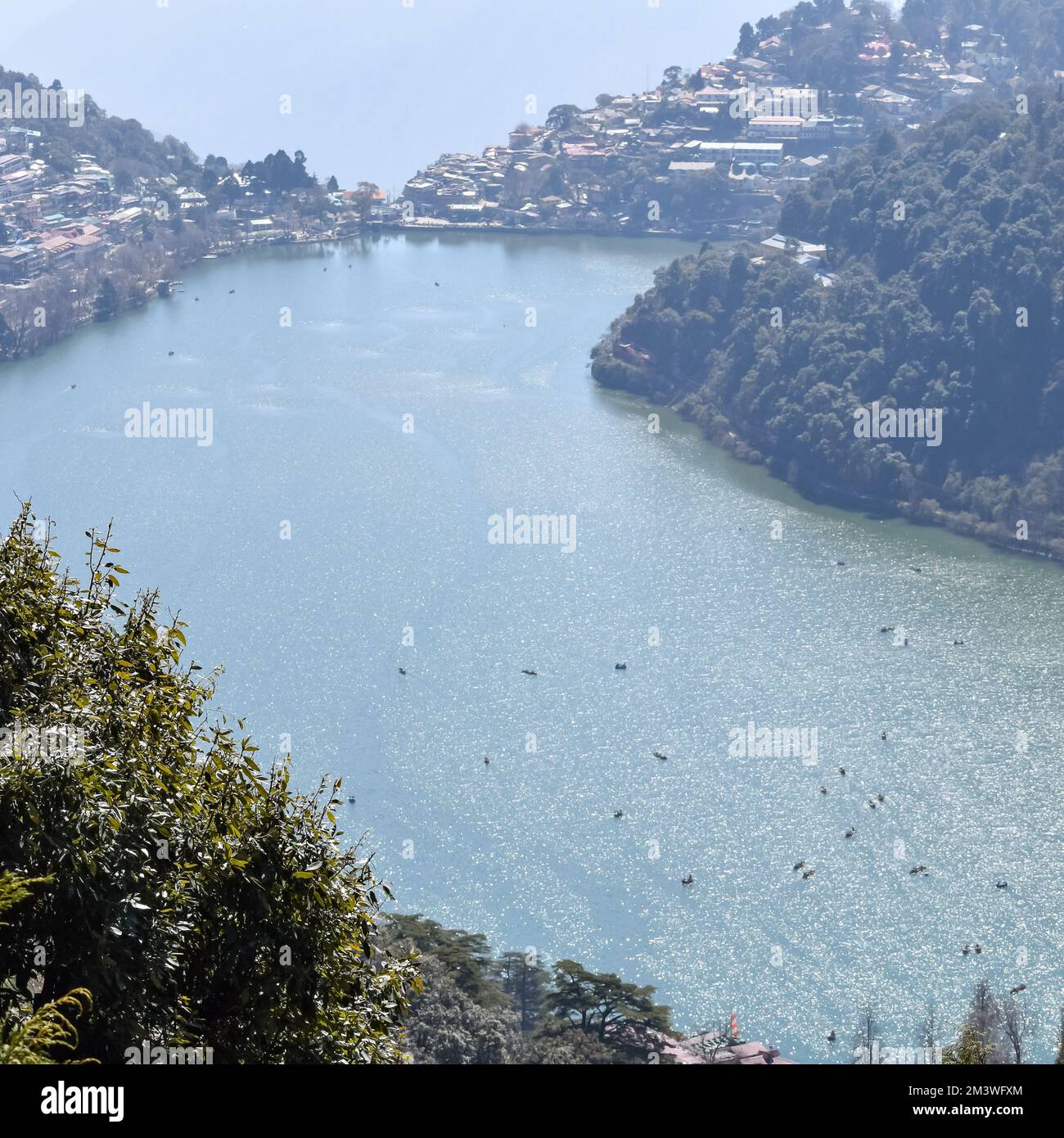 Man Lakeside Mountains Forest Background Hi res Stock Photography And man-lakeside-mountains-forest-background-hi-res-stock-photography-and