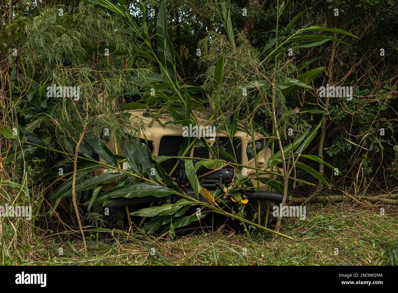 Camp Hansen, Okinawa, Japan. 5th Dec, 2022. U.S. Marines with 3rd Landing Support Battalion, Combat Logistics Regiment 3, 3rd Marine Logistics Group, cover a Joint Light Tactical Vehicle with vegetation surrounding their environment for concealment training during exercise Winter Workhorse, at Central Training Area, Camp Hansen, Okinawa, Japan, December. 5, 2022. Winter Workhorse is an annual exercise for CLR-3 to train to carry out mission essential tasks in forward-deployed, austere environments. (Credit Image: © Weston Brown/U.S. Marines/ZUMA Press Wire Service) Stock Photo