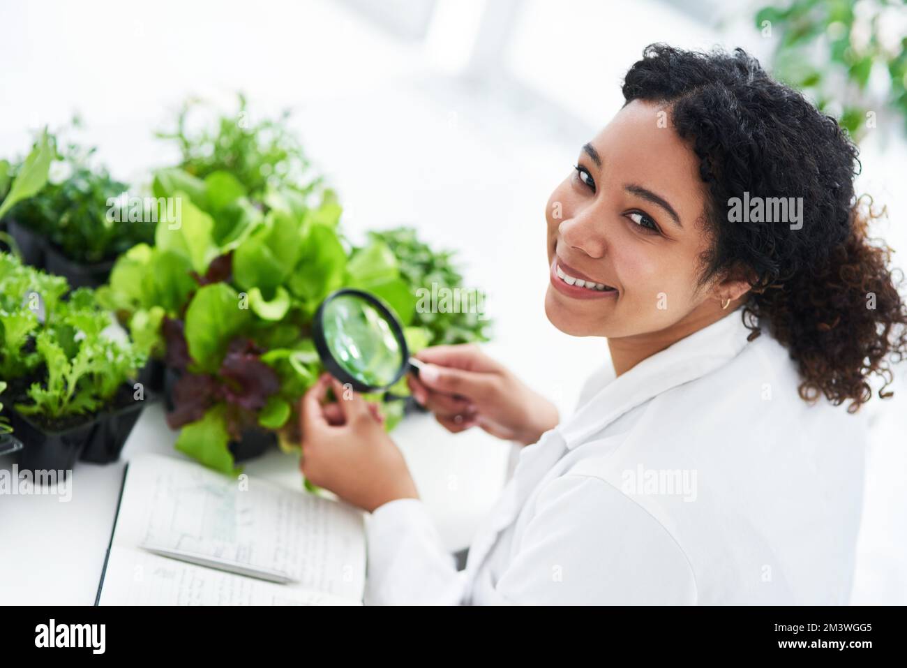 Studying plants is vital. a female scientist looking at a plant through