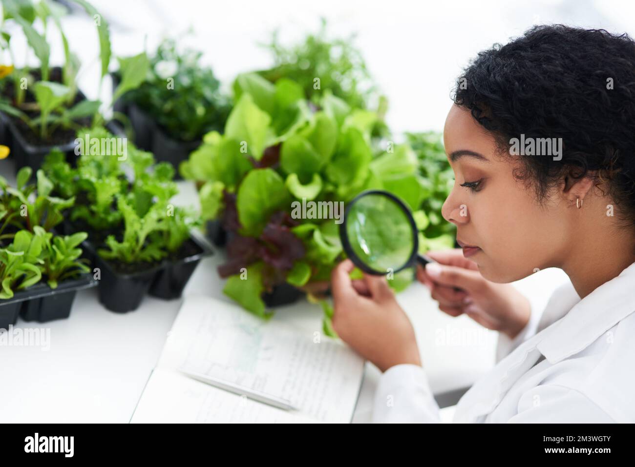 Plants are fascinating organisms to study. a female scientist looking
