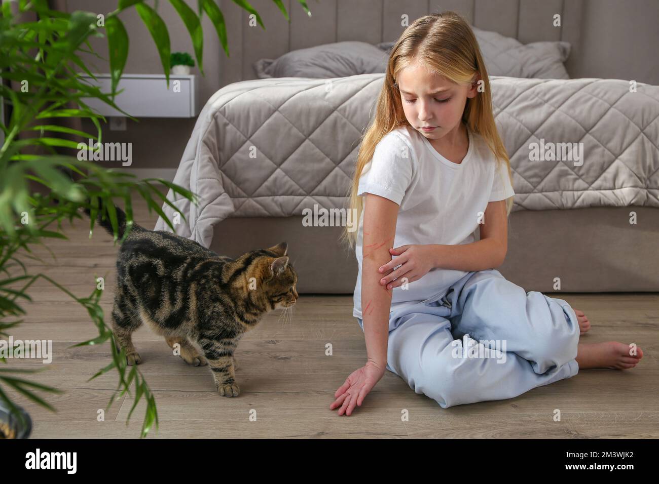 The cat scratched the child's hand Stock Photo Alamy