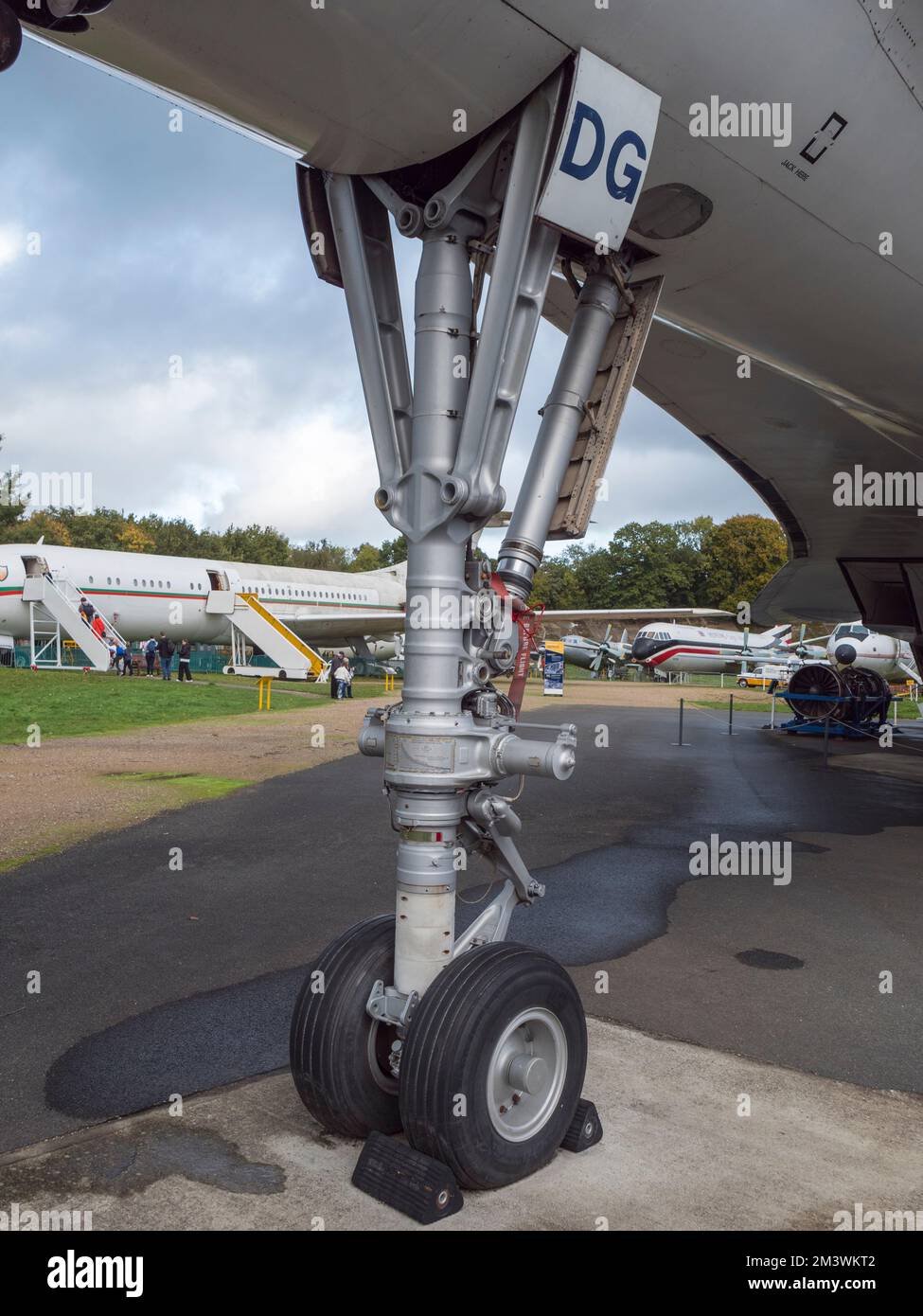 The front landing gear/nose wheel of the BAC Concorde (G-BBDG) on display at the Brooklands Museum, Weybridge, Surrey, UK. Stock Photo