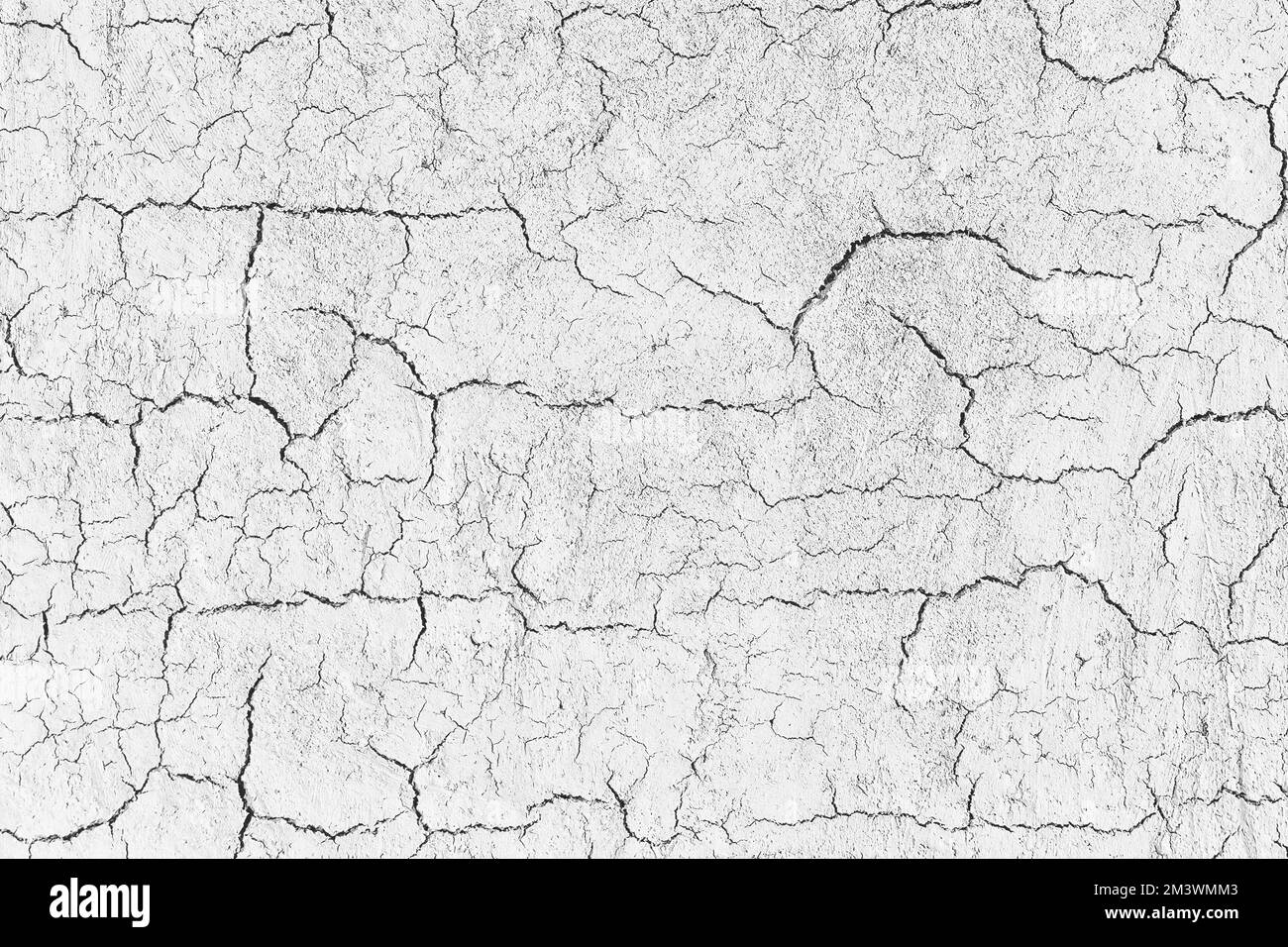 Old grunge cracked wall textures backgrounds. black and white perfect background with space Stock Photo