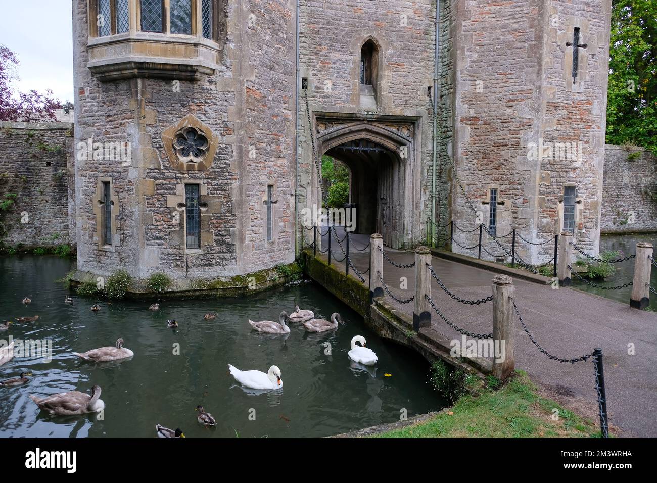 Entrance Gate to Palace , Wells, Somerset Stock Photo Alamy
