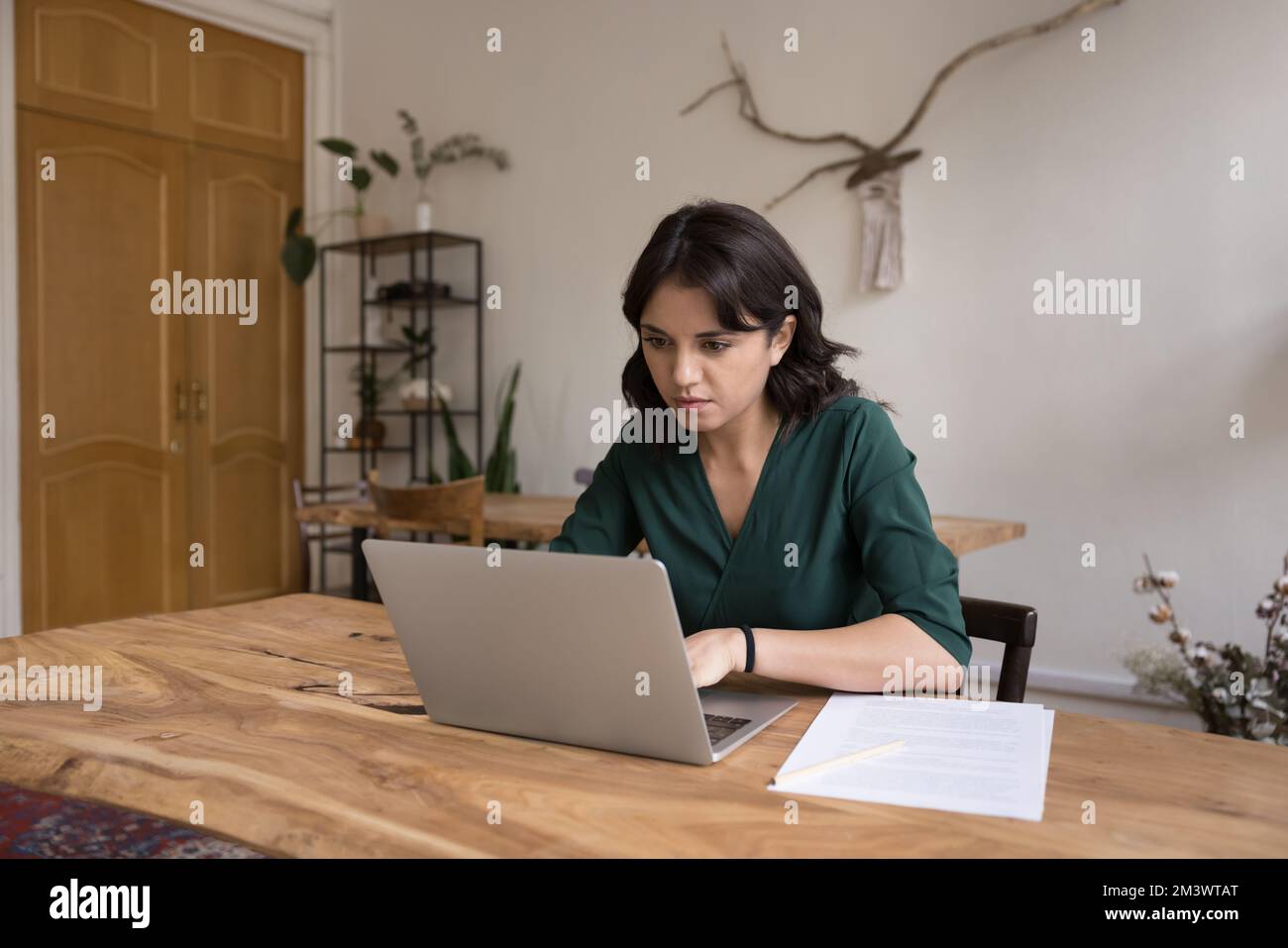 Focused engaged freelance employee woman using laptop computer Stock Photo