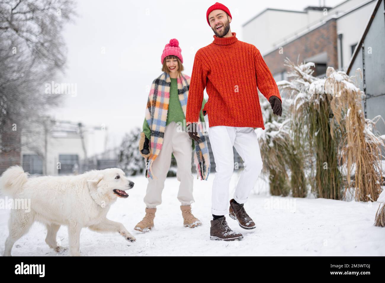 Young couple play with their adorable dog at snowy backyard Stock Photo ...