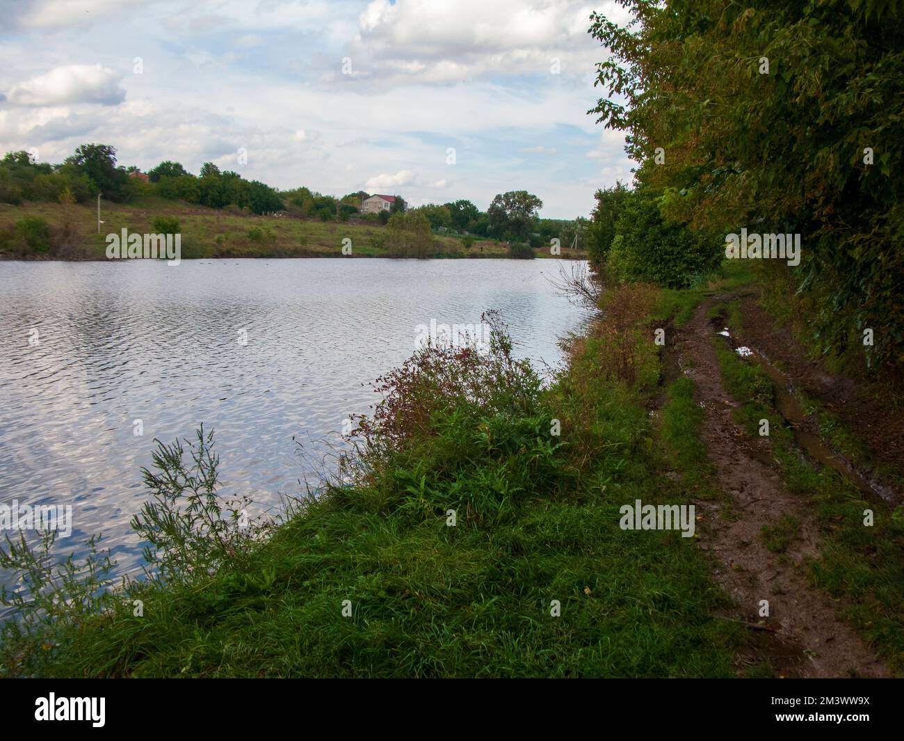 A beautiful shot of a lake surrounded by trees under a cloudy sky Stock ...