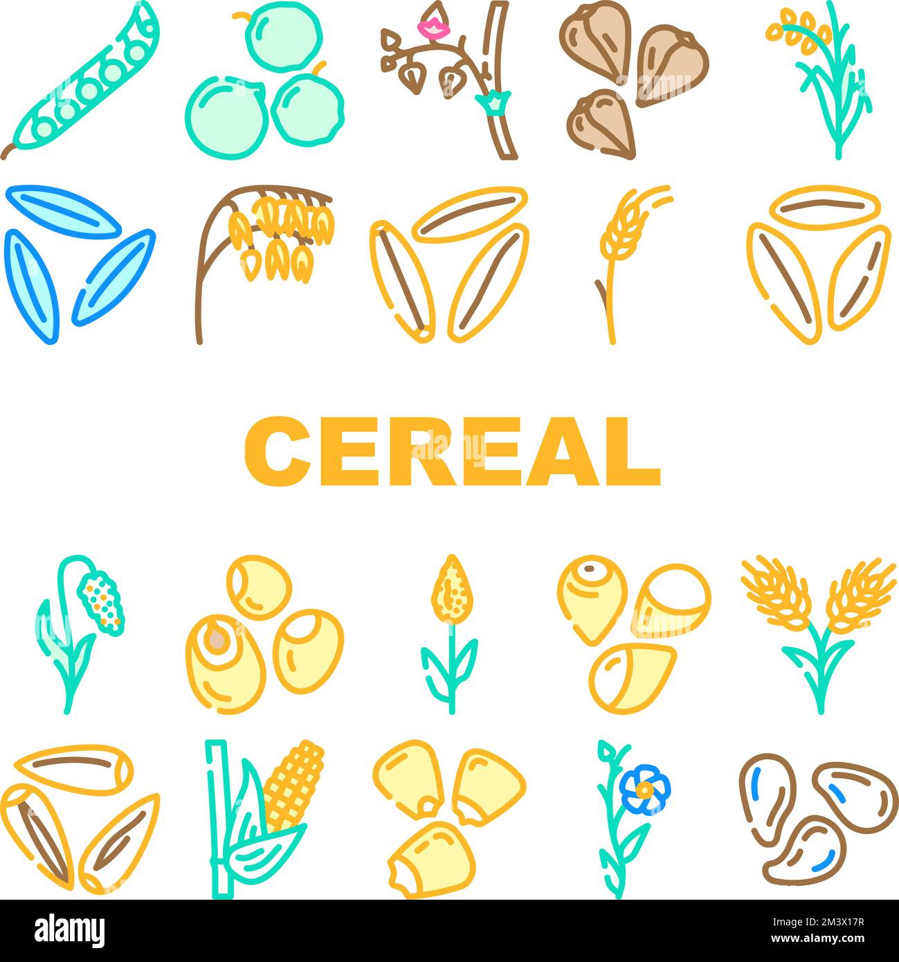 cereal plant healthy food icons set vector Stock Vector Image & Art Alamy