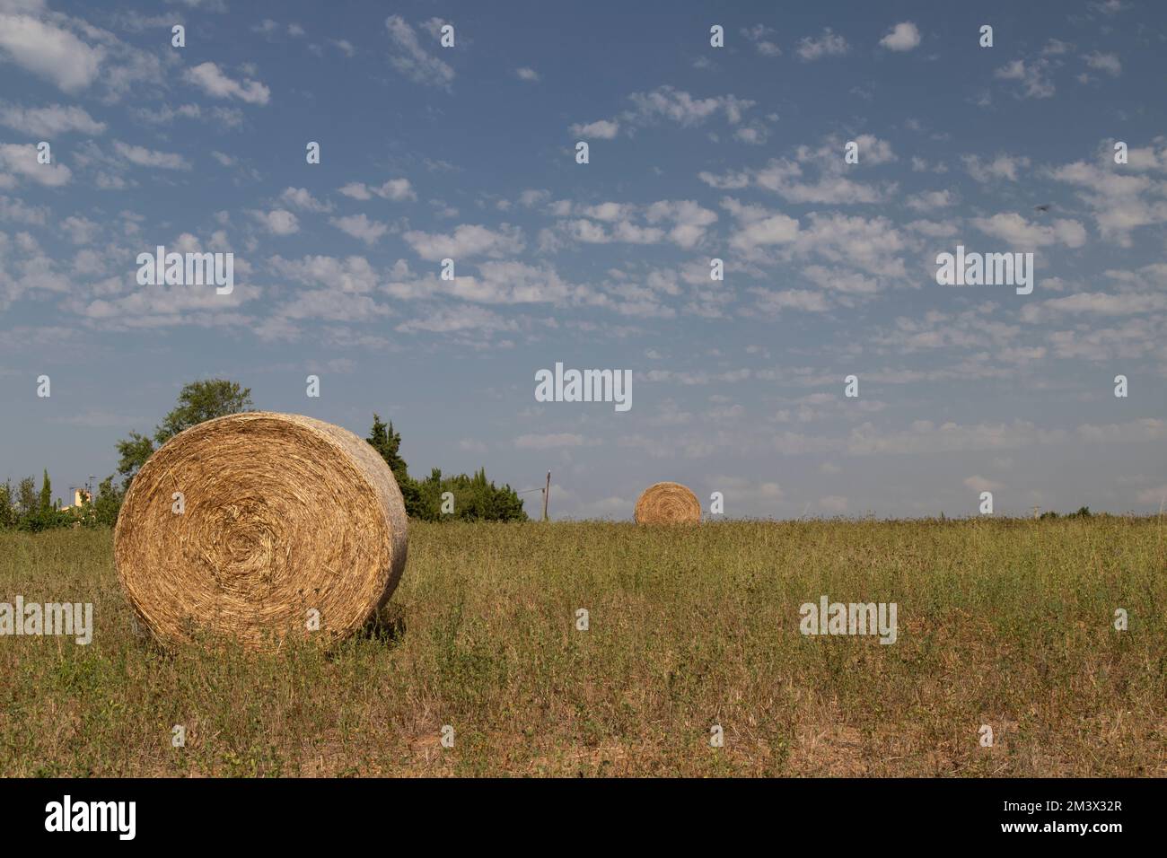 Field of haystacks hi-res stock photography and images - Alamy