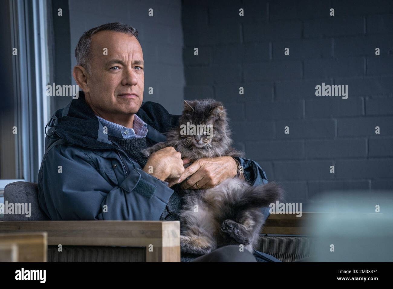 A Man Called Otto  Tom Hanks & cat Stock Photo