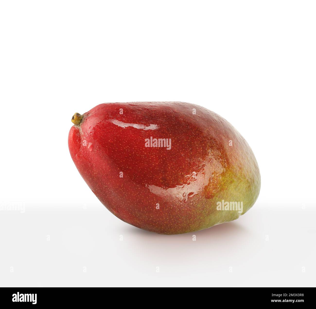 Mango Ripened Image ripe mango fruit on a white background Stock Photo - Alamy