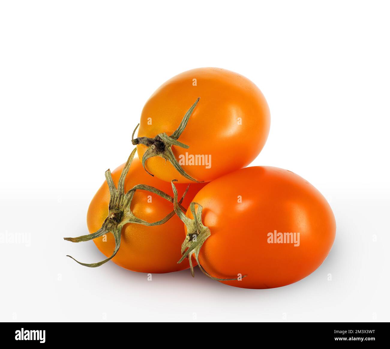 three yellow tomatoes side by side on a white background Stock Photo