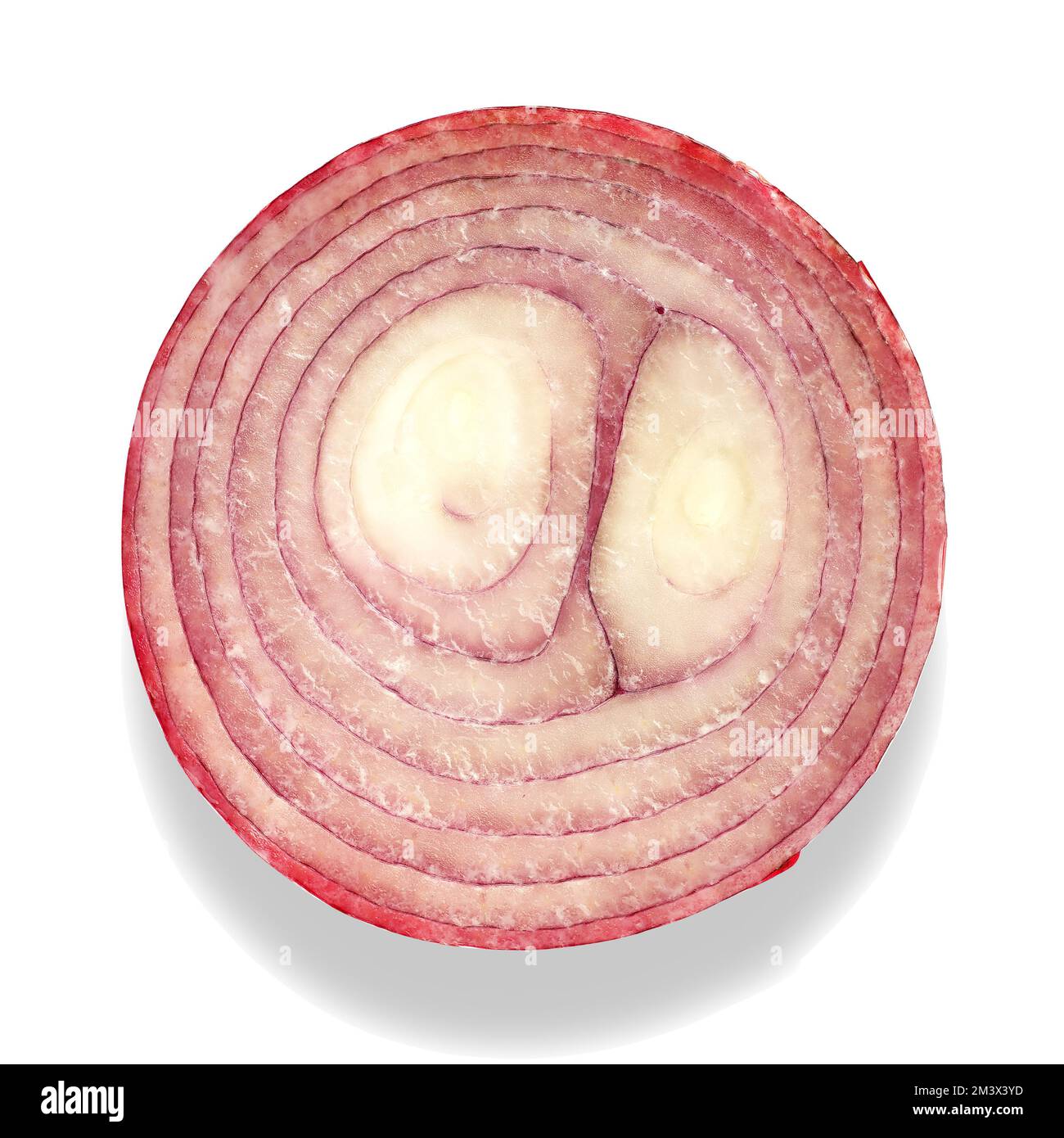 red sweet onion cut in half on a white background Stock Photo - Alamy
