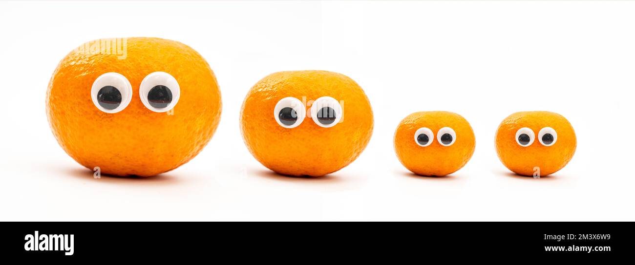 family of satsuma oranges, dadmum and kids isolated on a white background Stock Photo Alamy