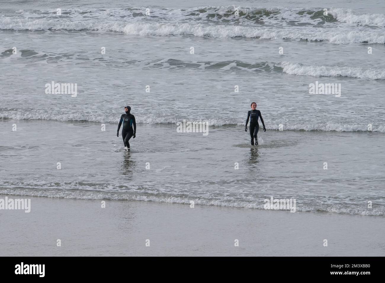 Polzeath, Cornwall, UK. 17th December 2022. UK Weather. After overnight frost again, it was a pleasant 8 degrees C on the beach at Polzeath this lunchtime.  Credit Simon Maycock / Alamy Live News. Stock Photo