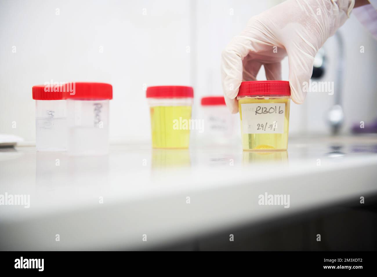 Researcher showing  sample holders in a lab. Stock Photo
