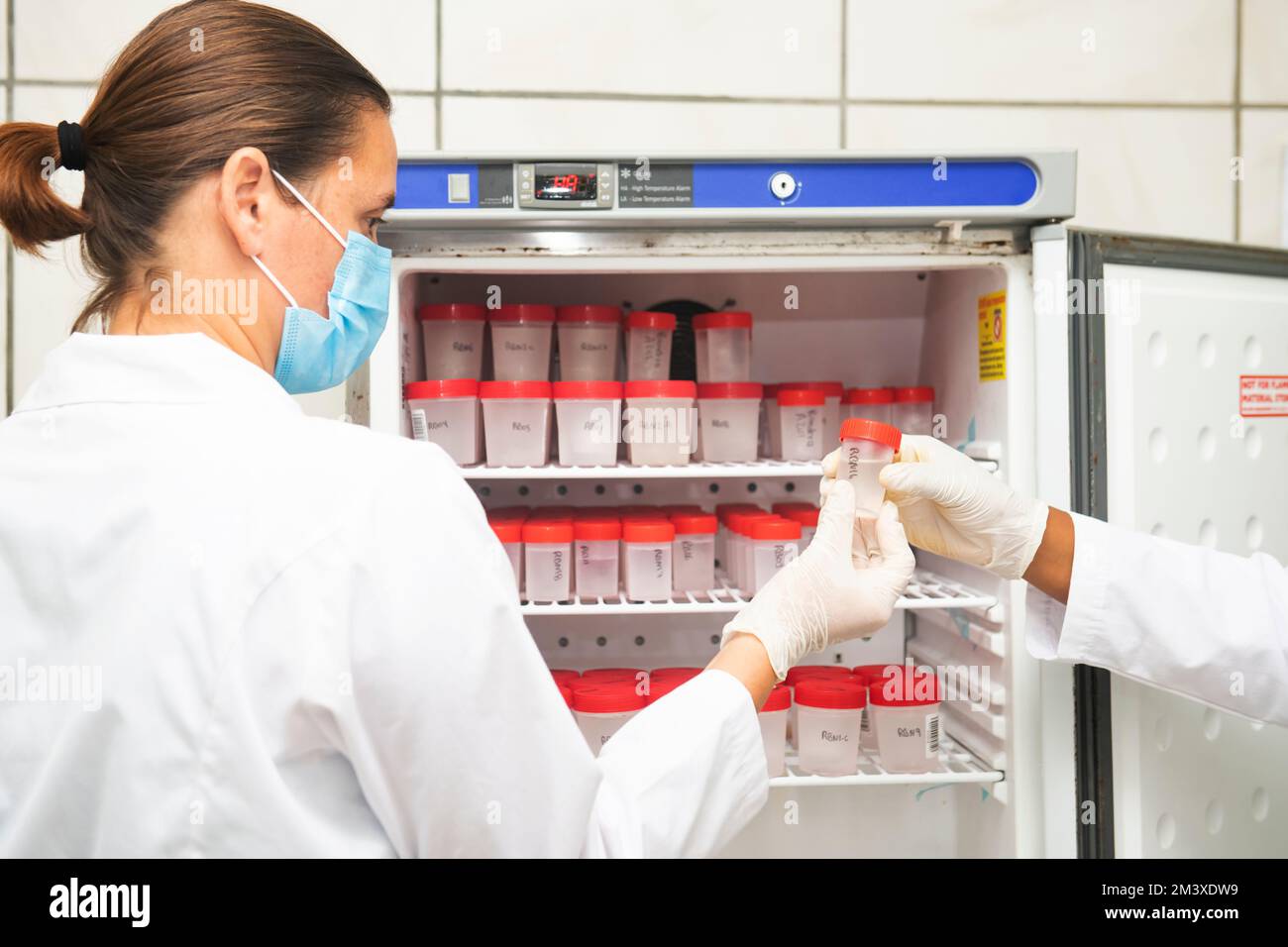 Researcher working in laboratory on water quality test Stock Photo Alamy