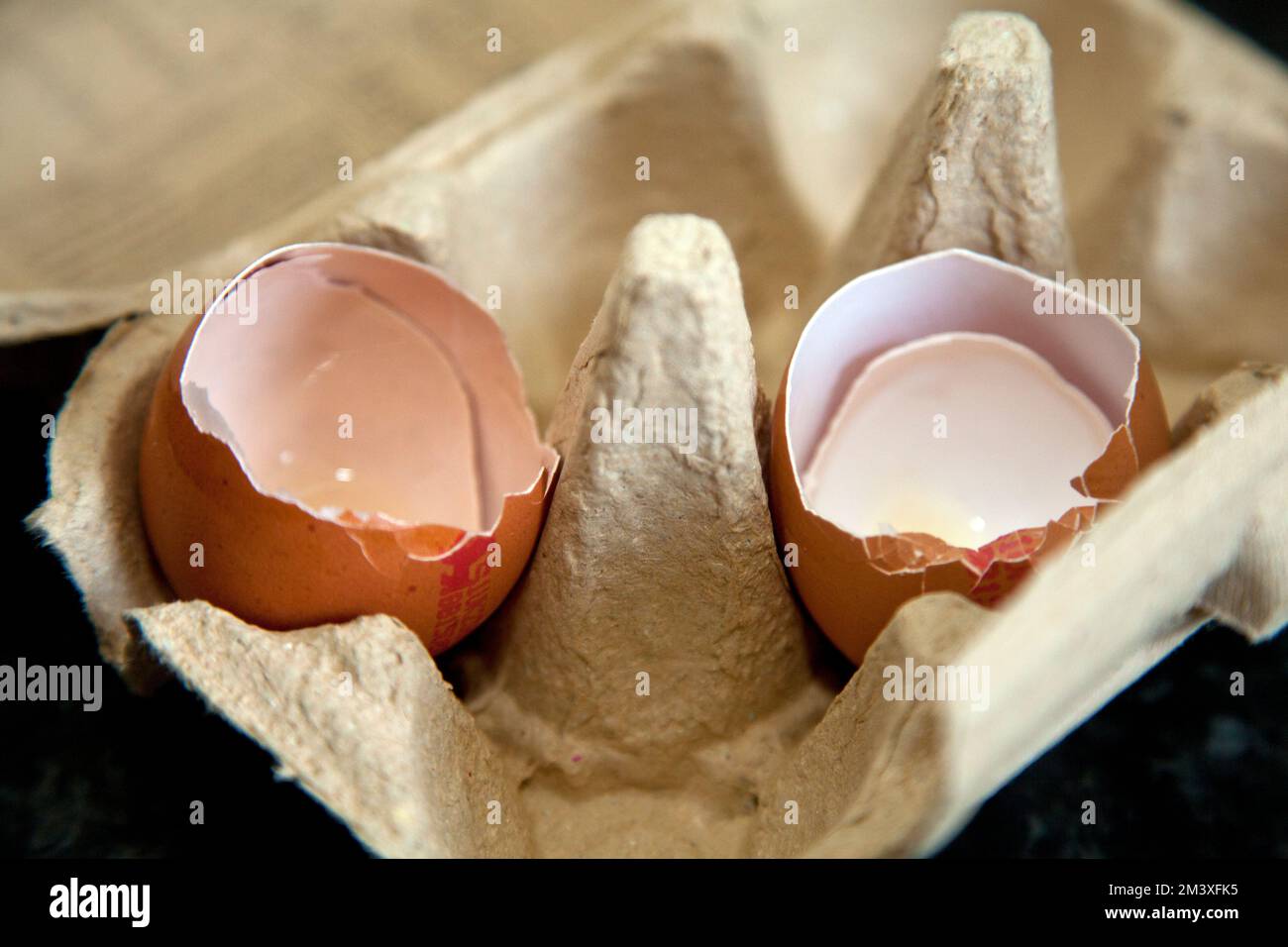 Two empty egg shells in the egg tray Stock Photo