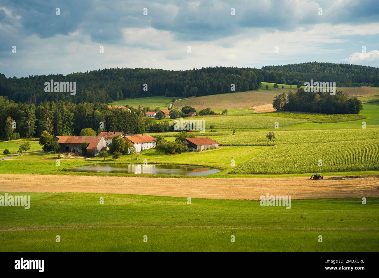 Some farms and a pond in Bavaria, surrounded by cornfields and forest, in the summertime. A farmer with a tractor is working on the field in front.  I Stock Photo