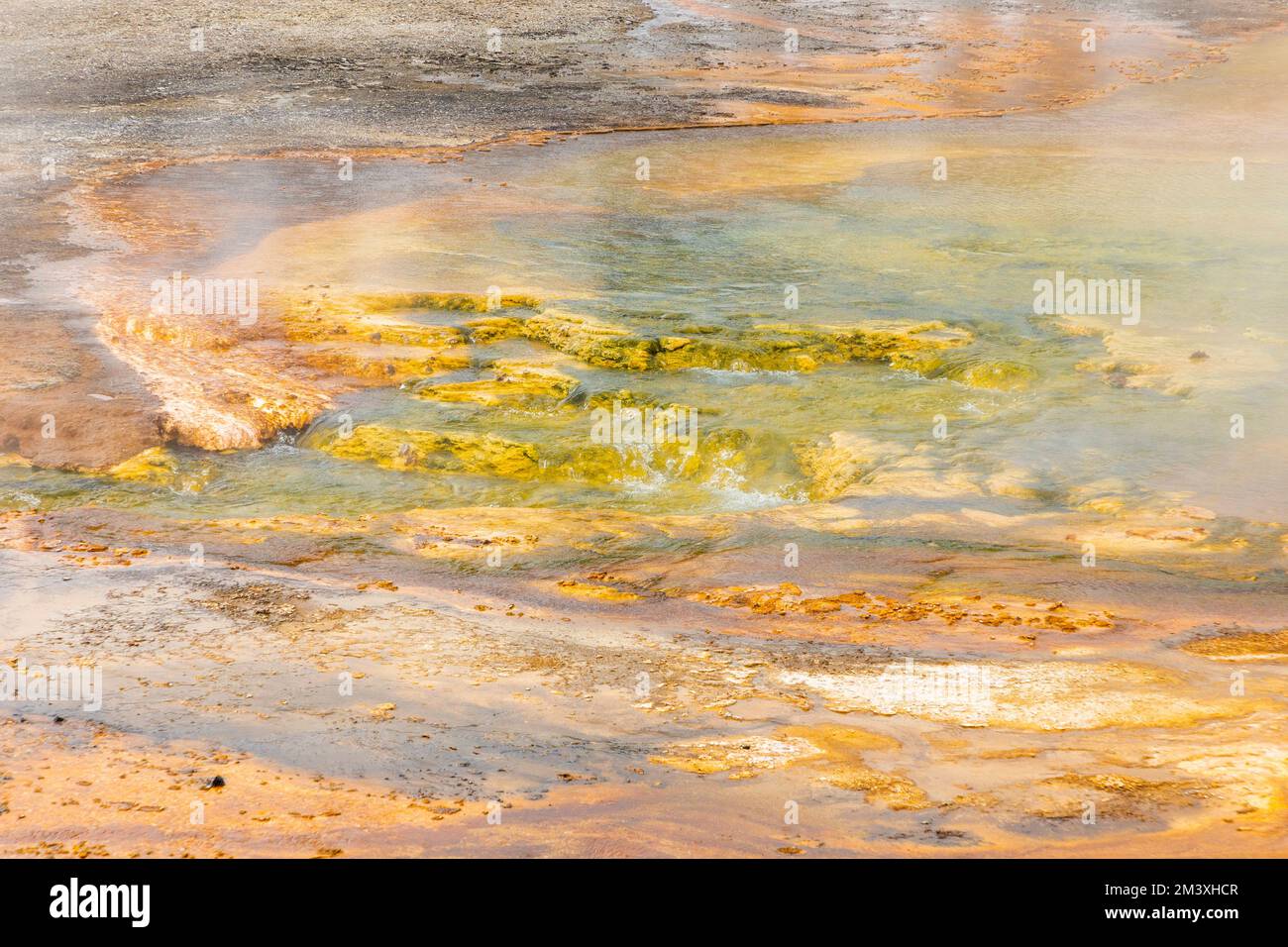 scenic foggy boiling fountain paint pot at yellow stone national park